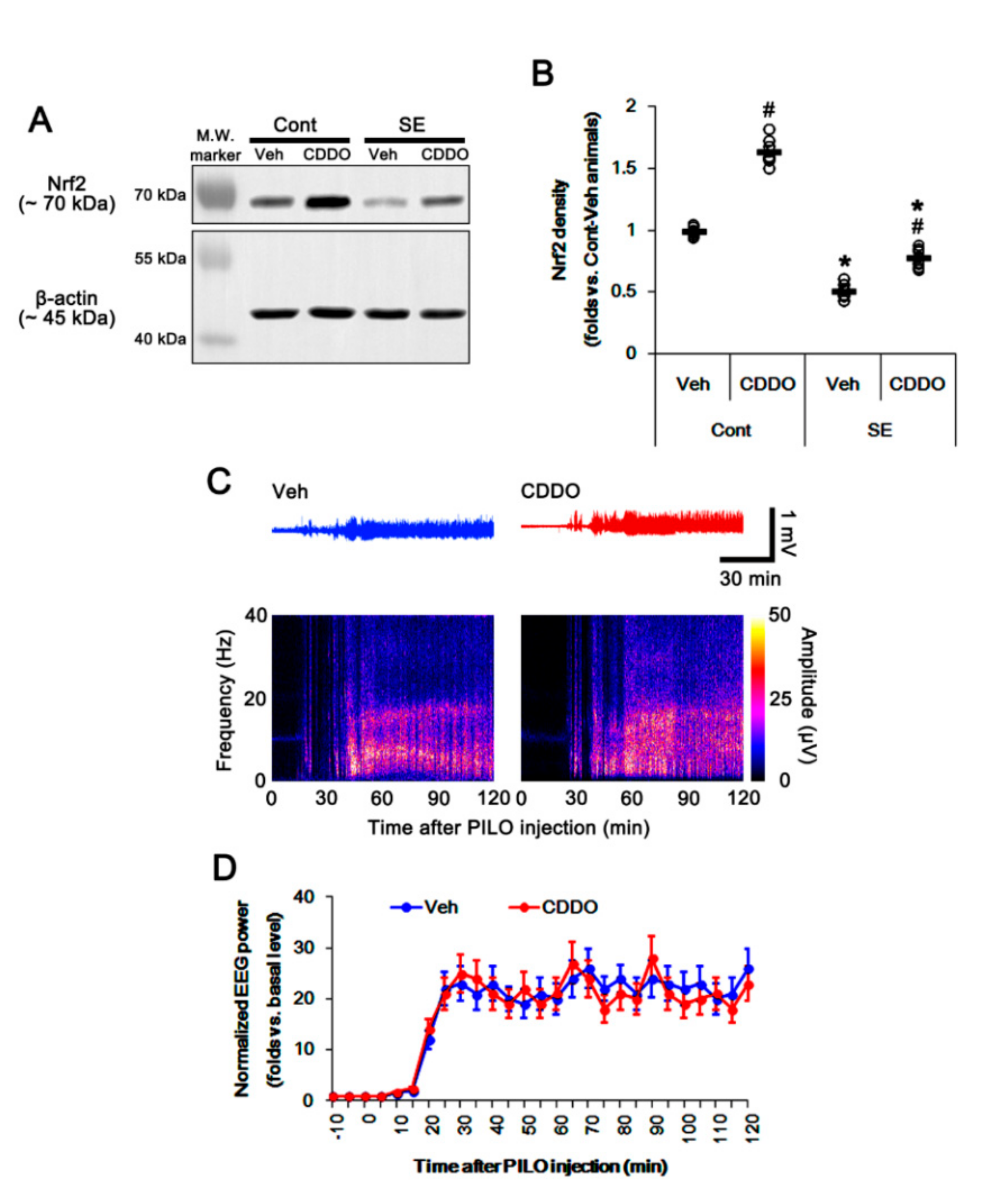 Antioxidants 09 01026 g001 Antioxidants 09 01026 g001