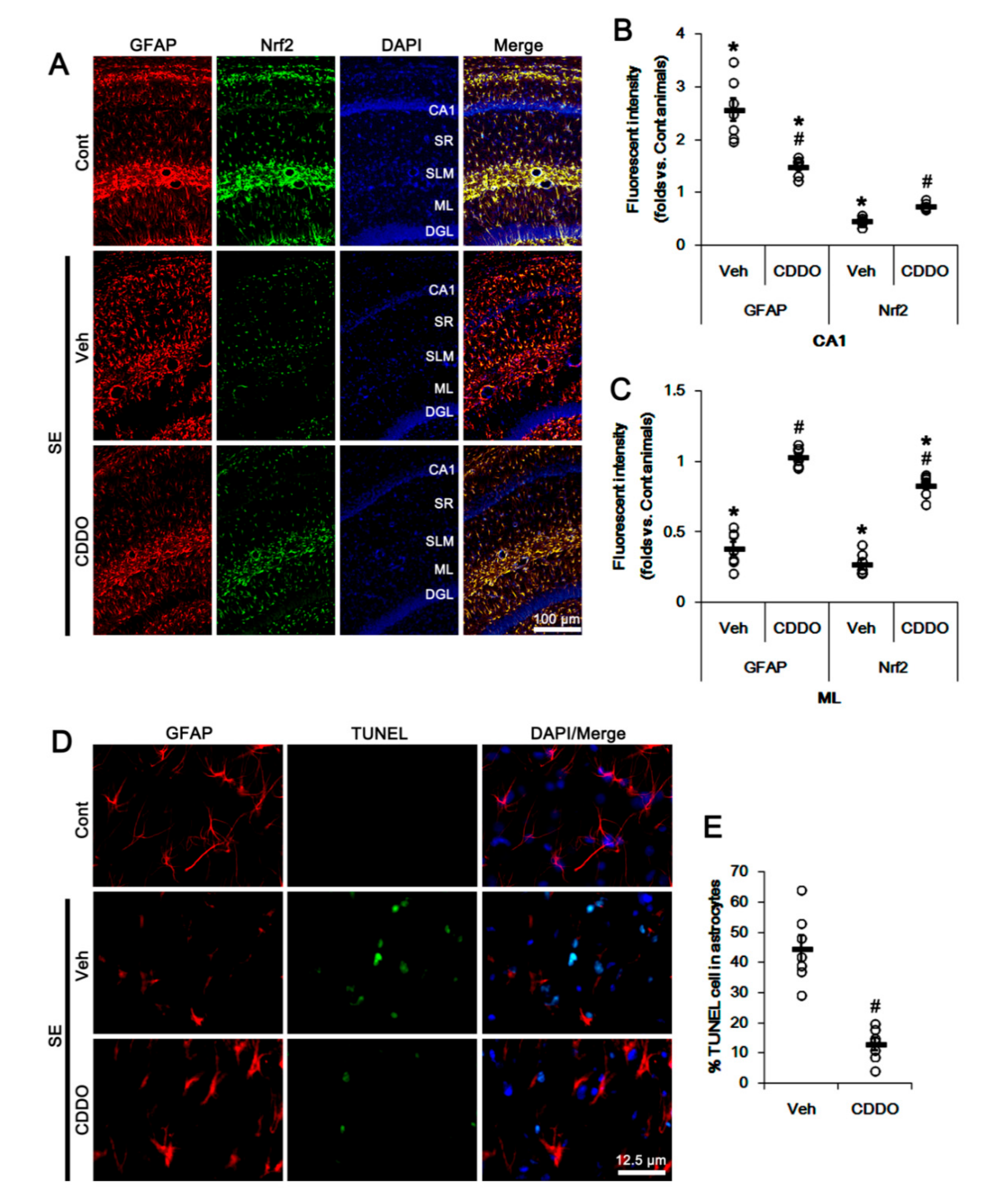 Antioxidants 09 01026 g002 Antioxidants 09 01026 g002
