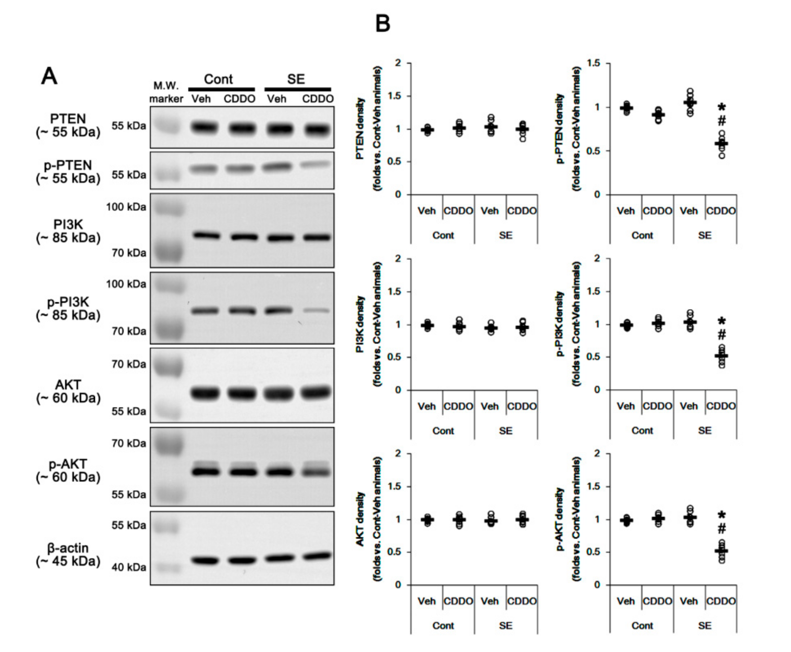 Antioxidants 09 01026 g003 Antioxidants 09 01026 g003