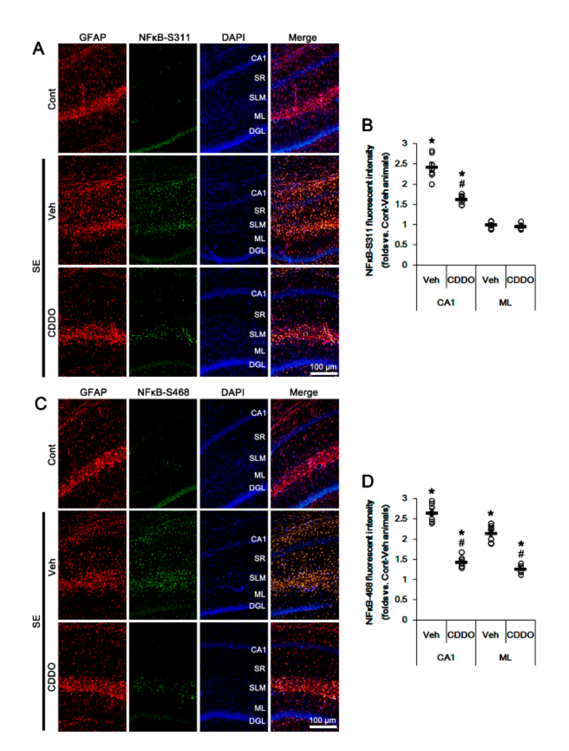 Antioxidants 09 01026 g005 Antioxidants 09 01026 g005