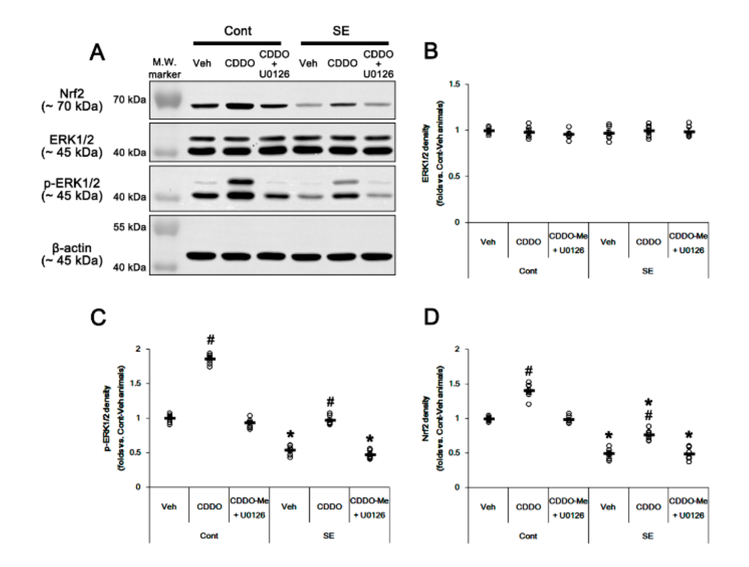 Antioxidants 09 01026 g006 Antioxidants 09 01026 g006
