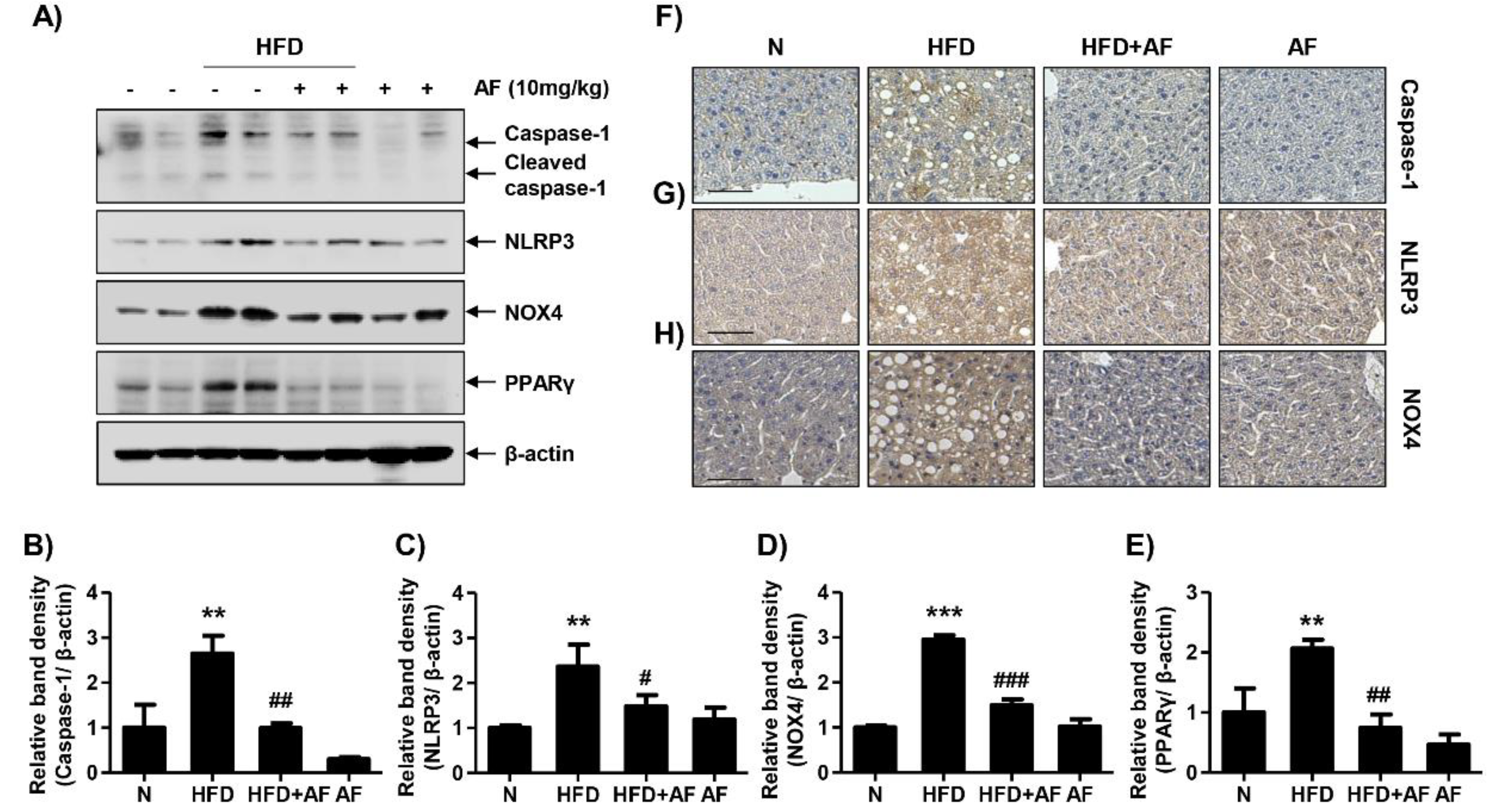Antioxidants 09 01040 g005