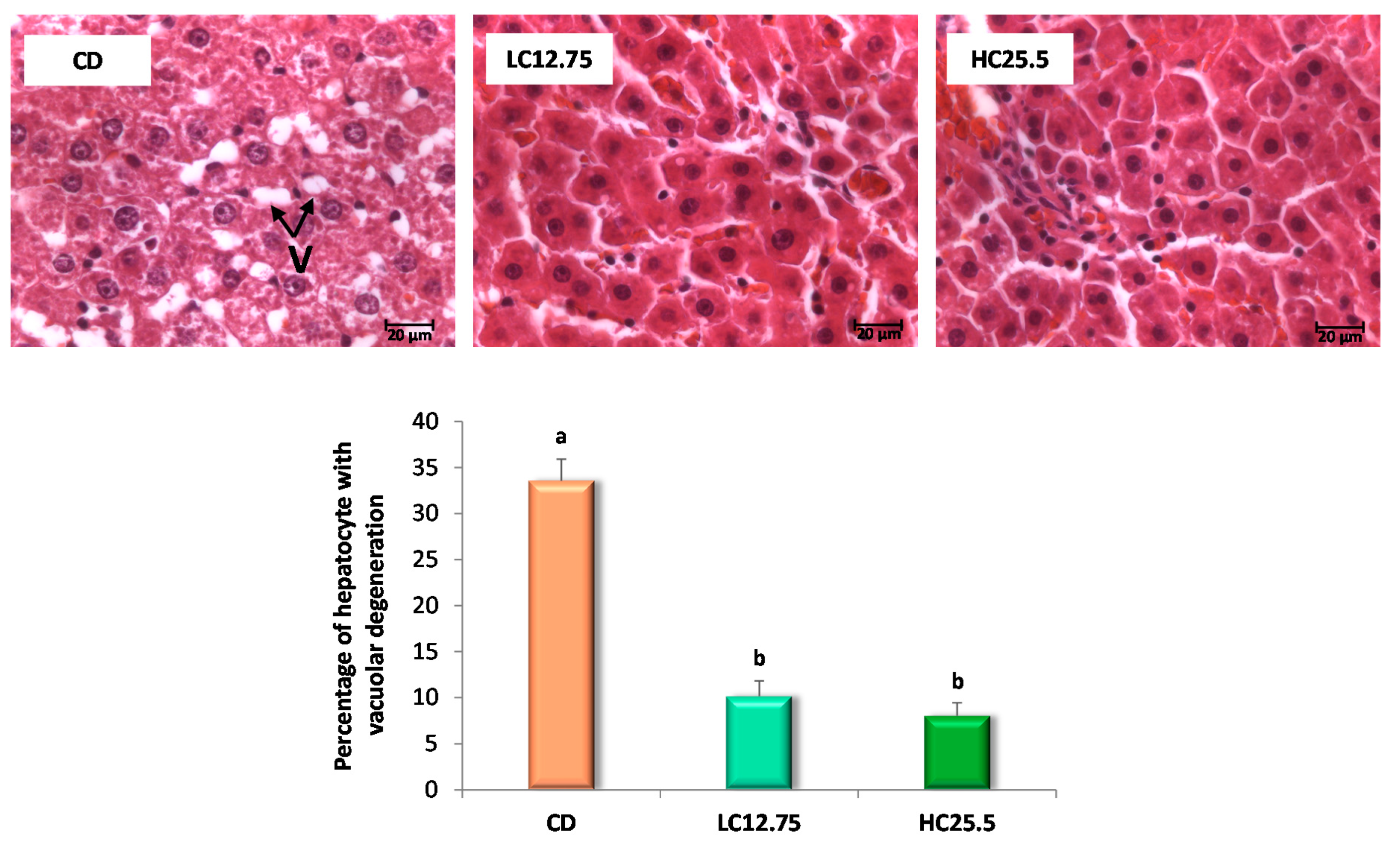 Antioxidants 09 01041 g001