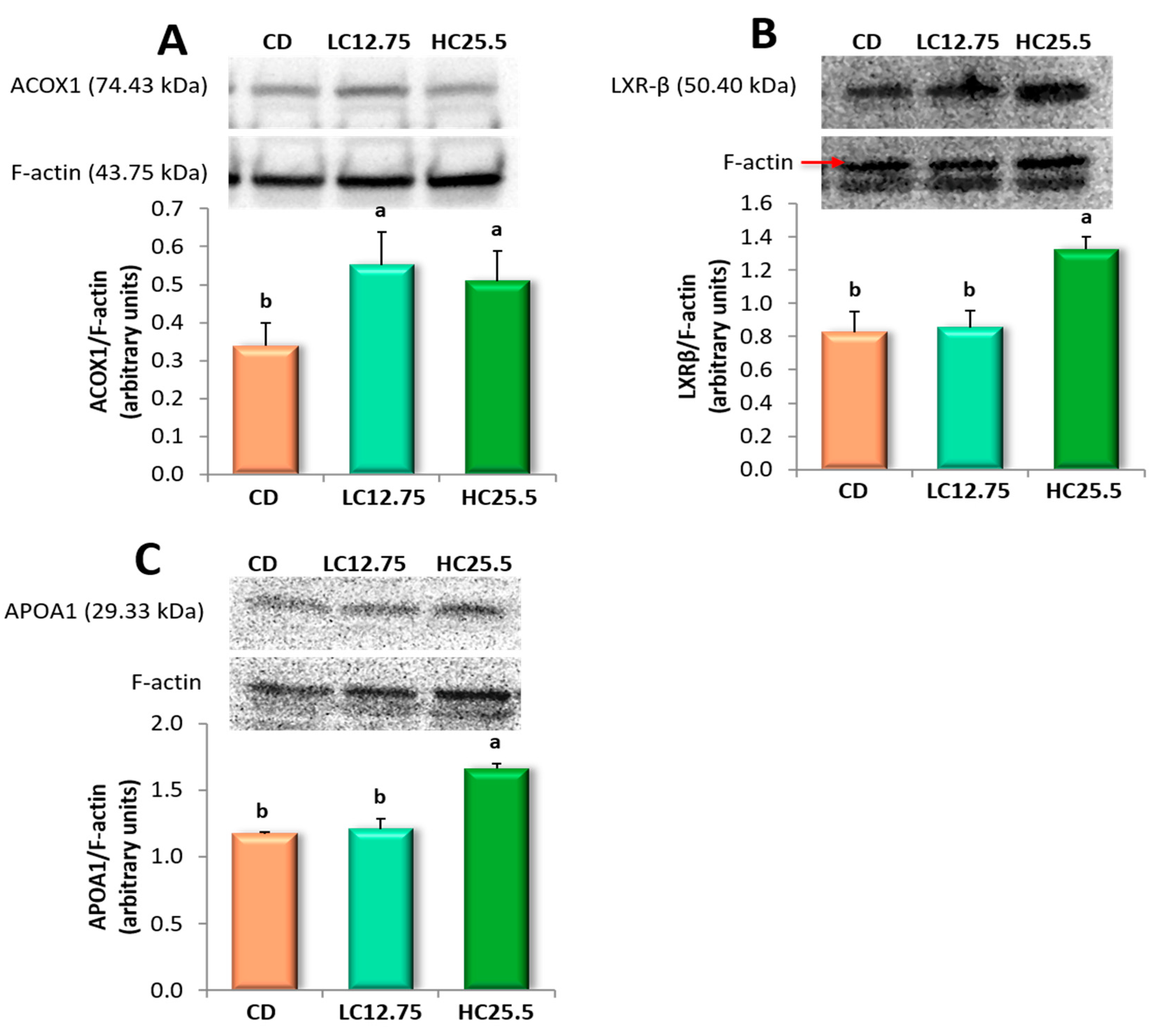 Antioxidants 09 01041 g002