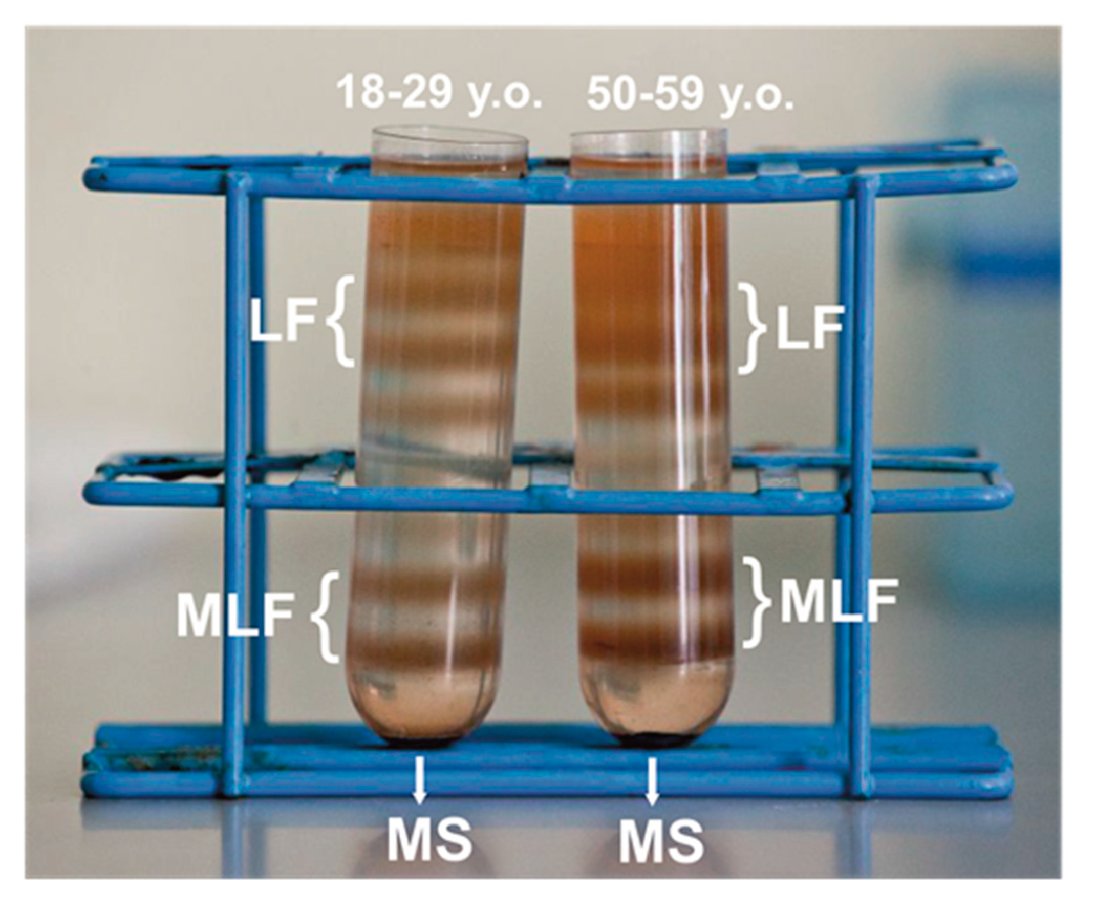 Antioxidants 09 01044 g001 Antioxidants 09 01044 g001