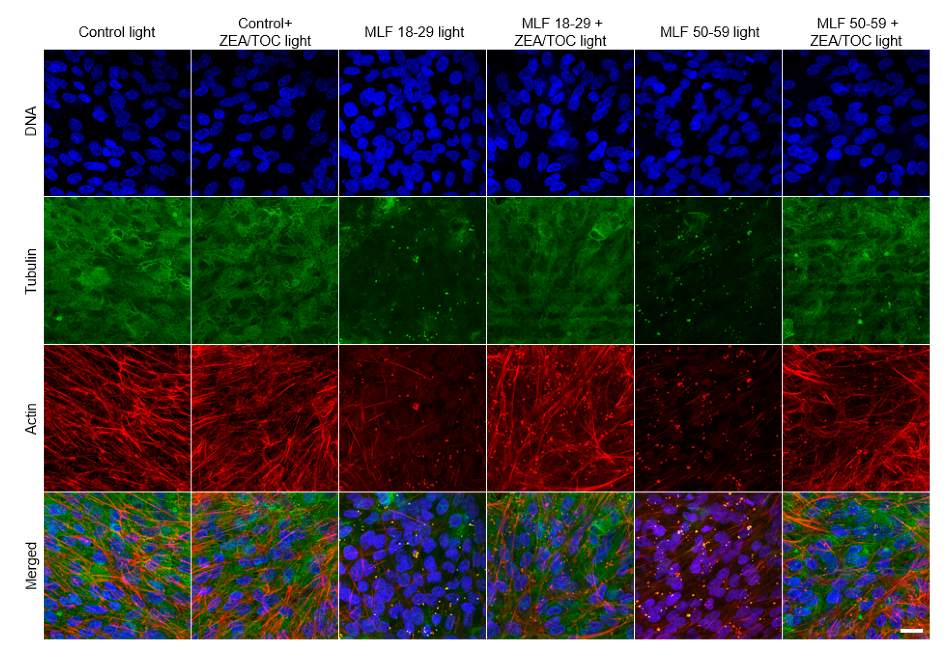 Antioxidants 09 01044 g010 Antioxidants 09 01044 g010
