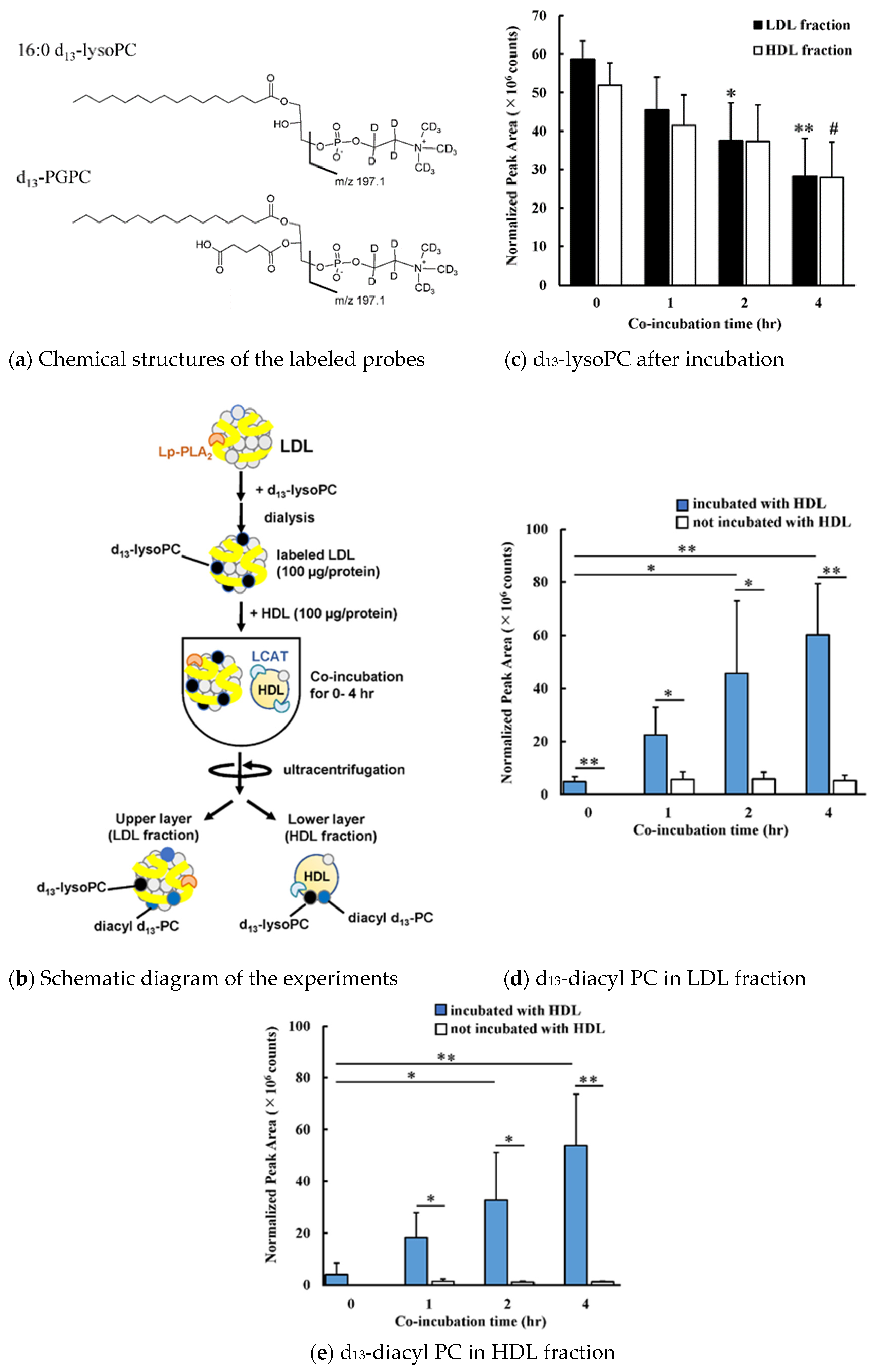 Antioxidants 09 01045 g001