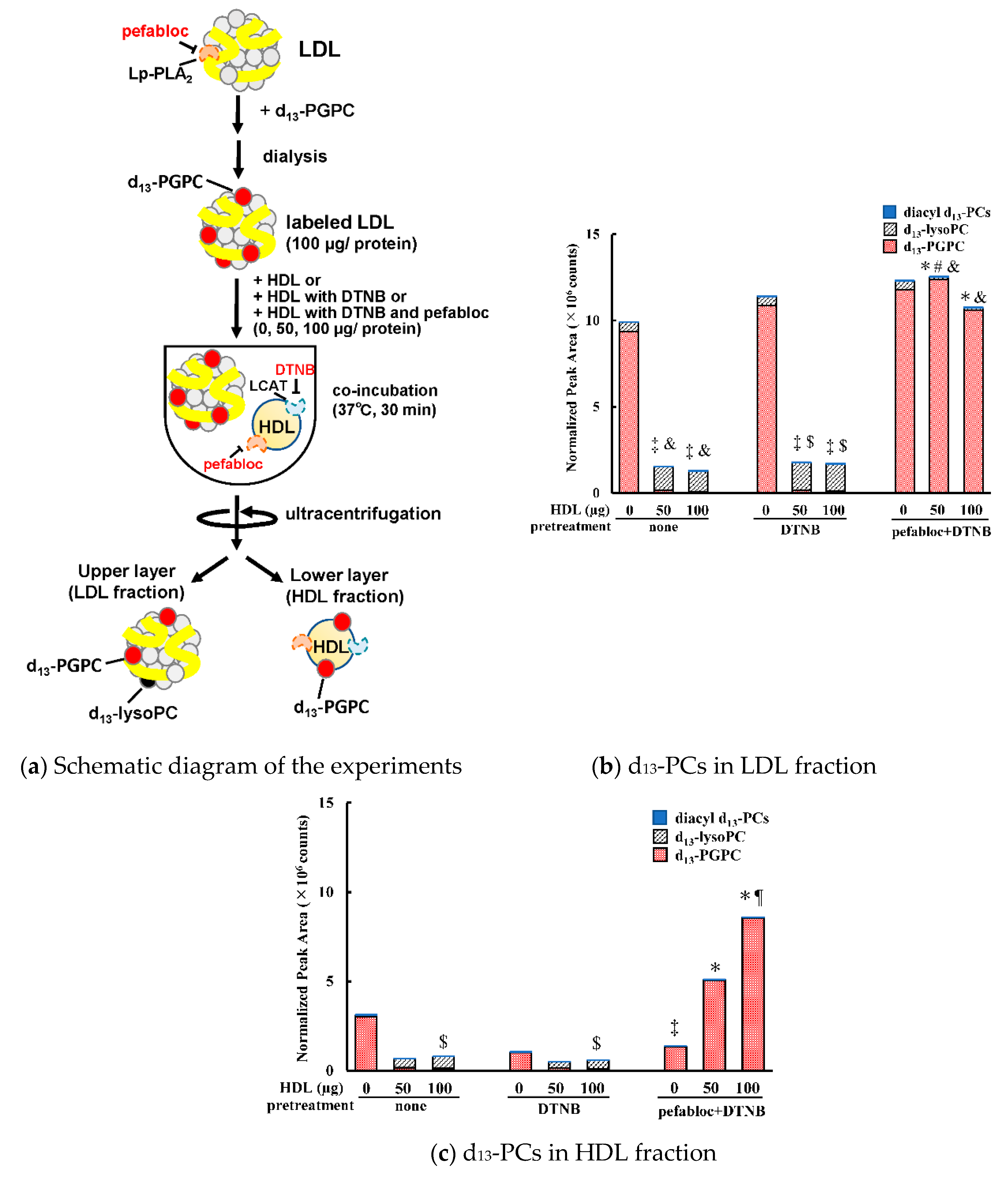Antioxidants 09 01045 g004