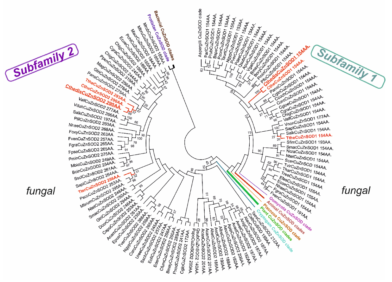 Antioxidants 09 01047 g002 Antioxidants 09 01047 g002