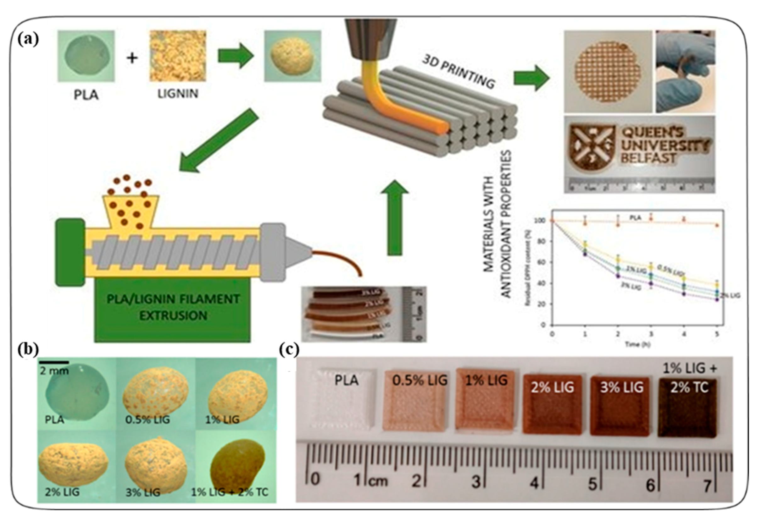 Antioxidants 09 01052 g004