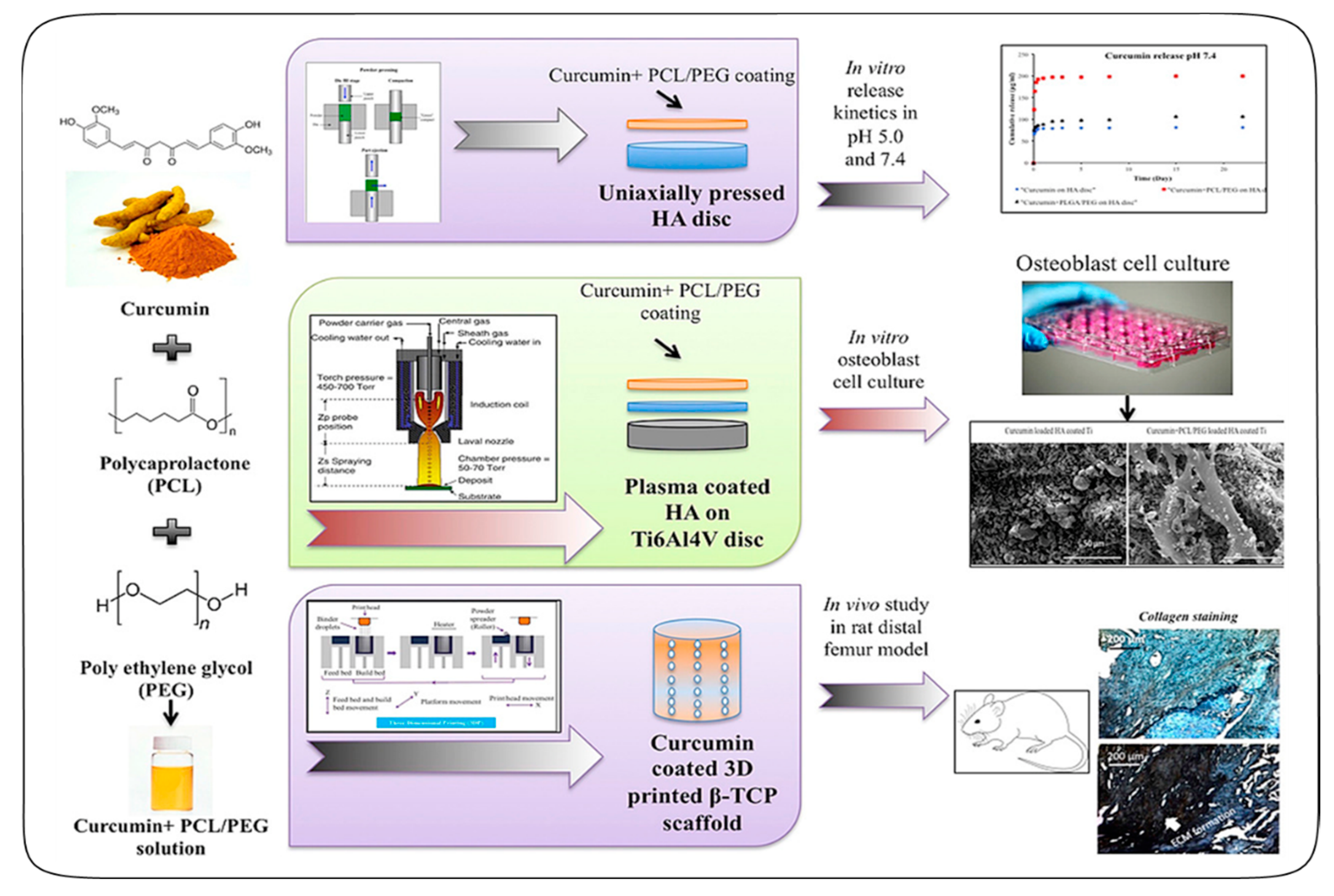 Antioxidants 09 01052 g005
