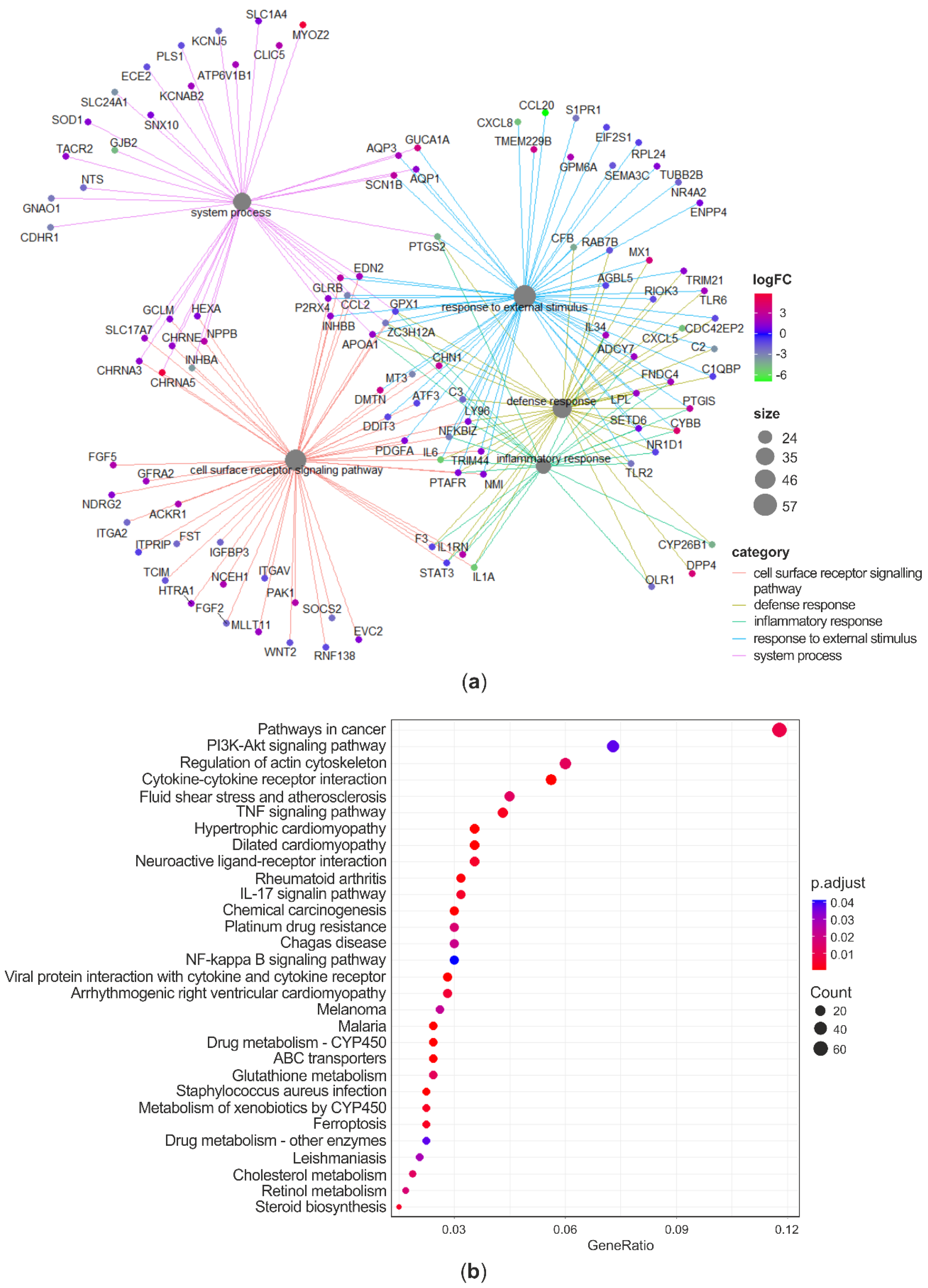 Antioxidants 09 01059 g006