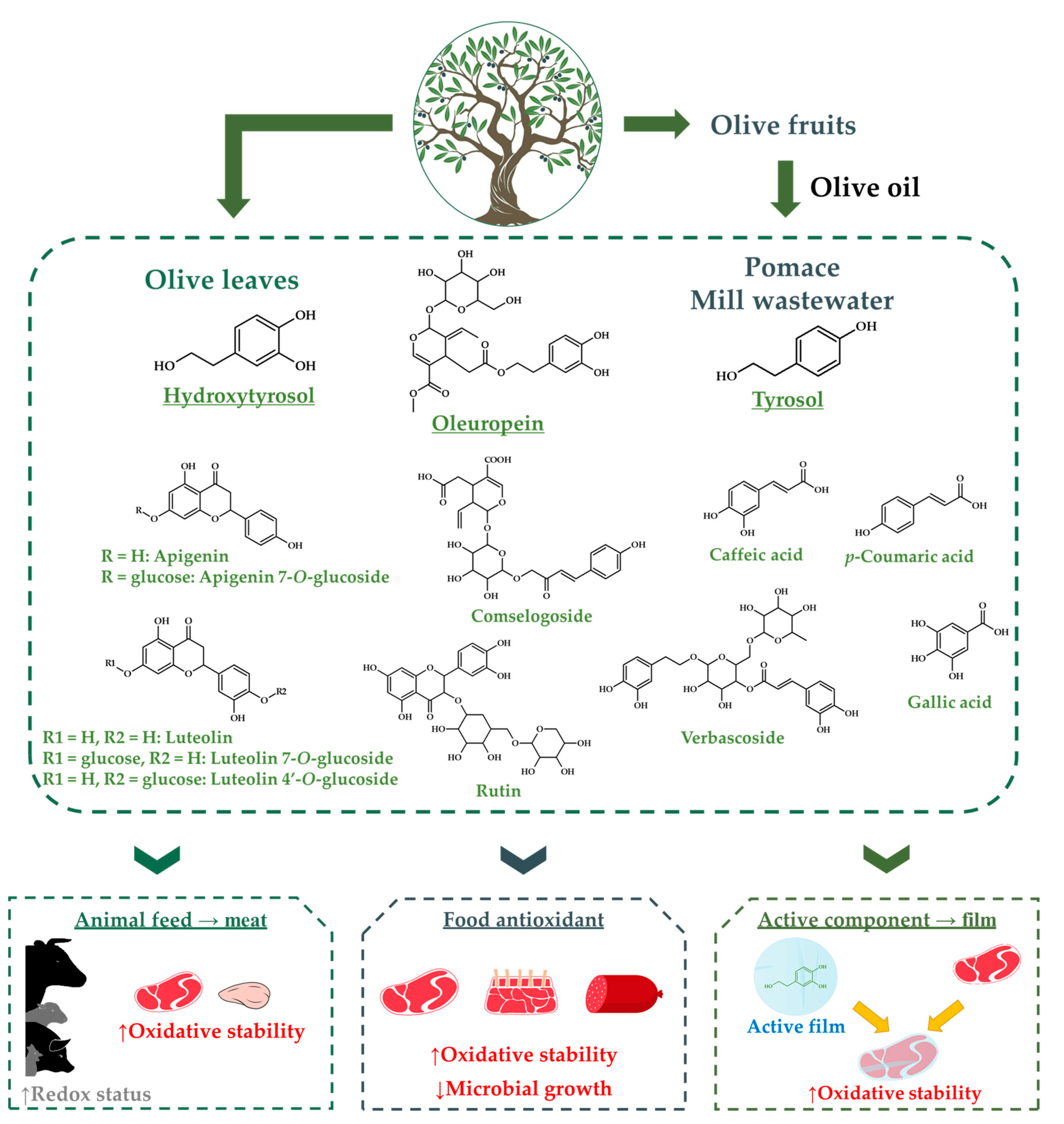 Antioxidants 09 01061 g001