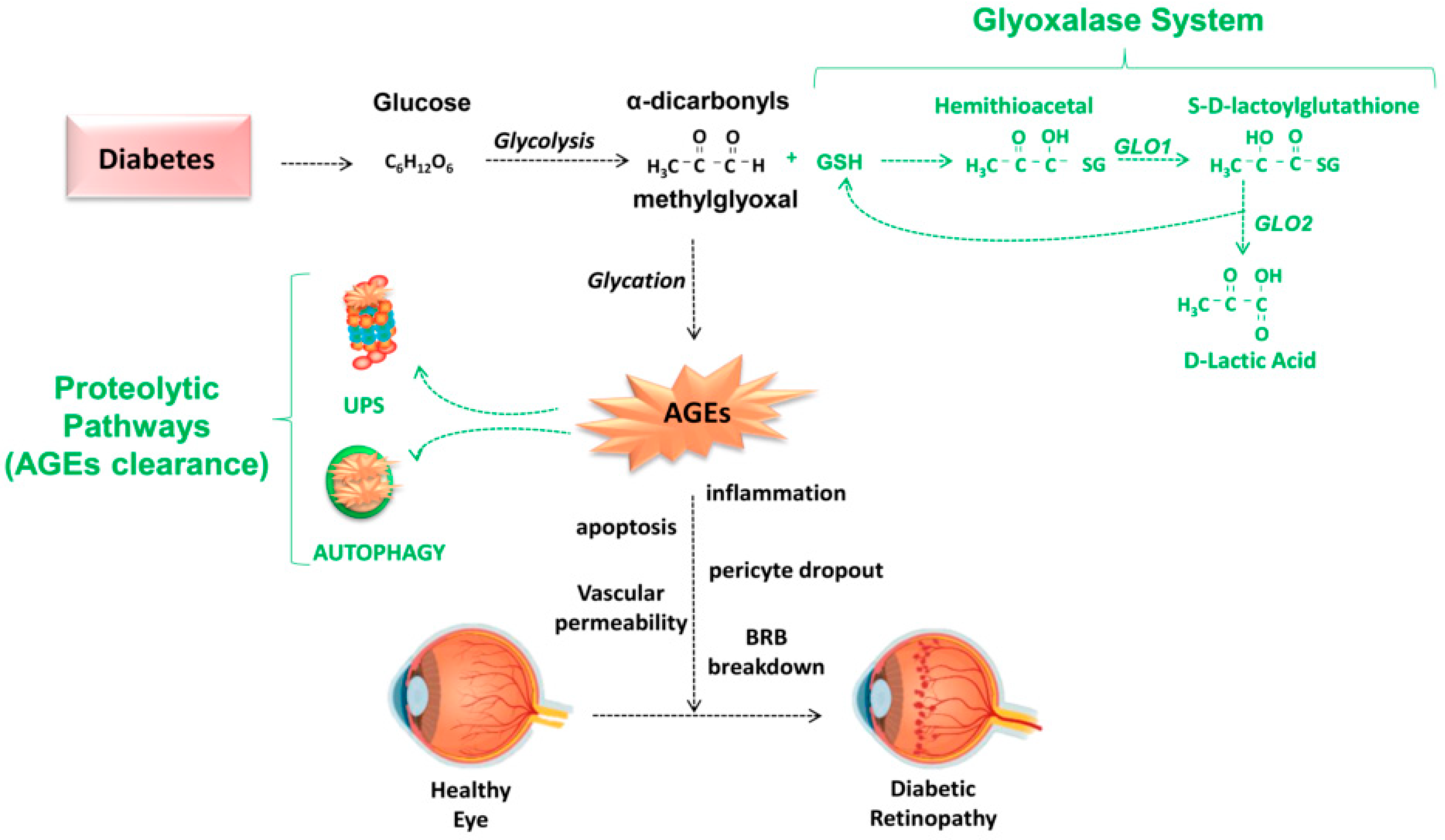 Antioxidants 09 01062 g003