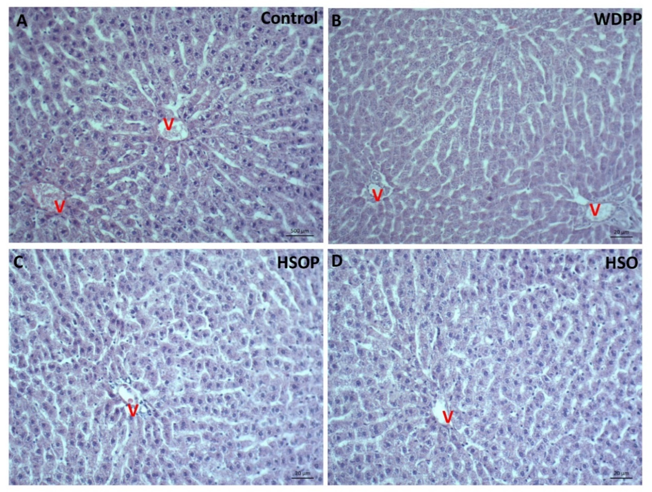 Antioxidants 09 01066 g004