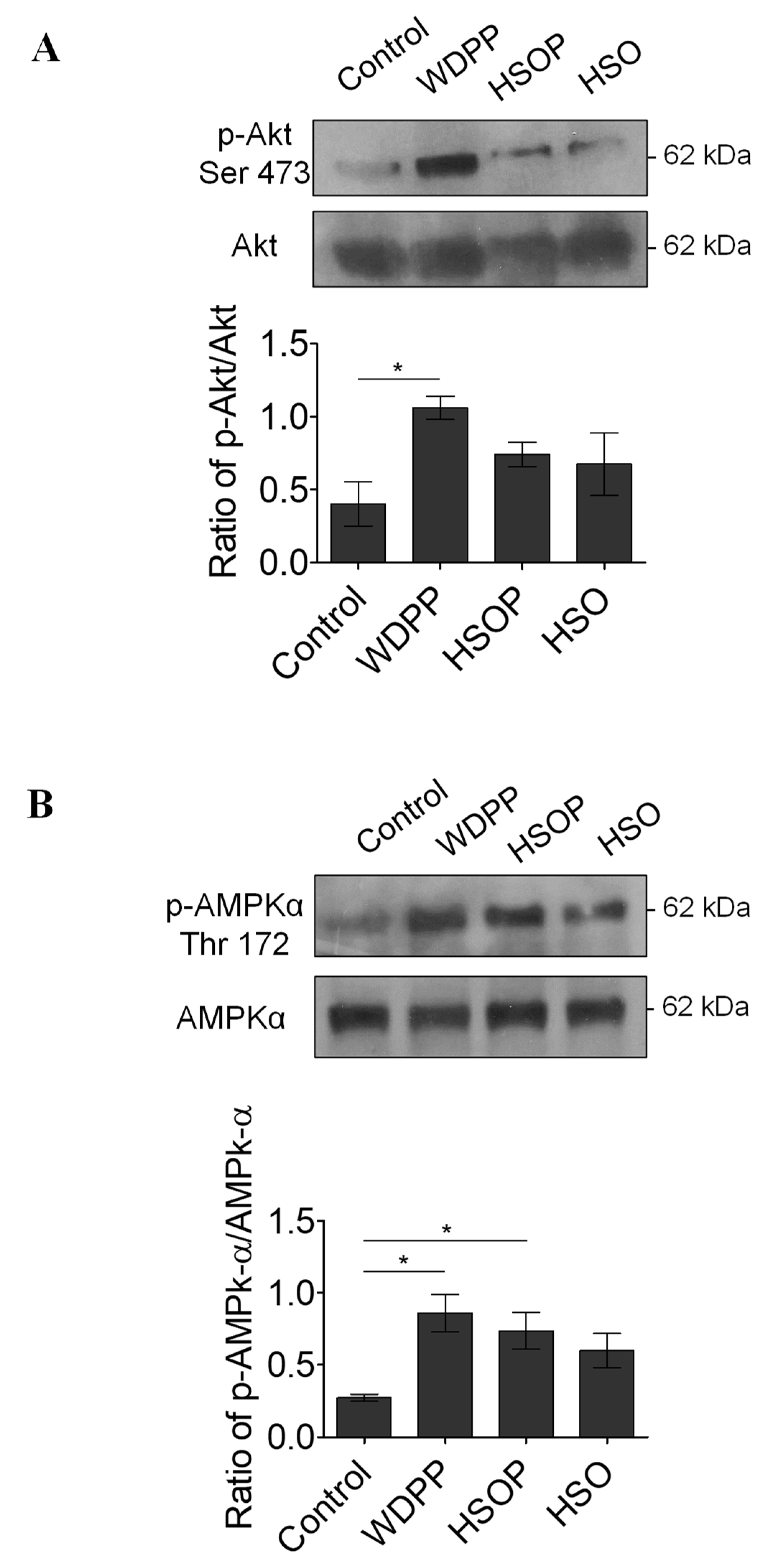 Antioxidants 09 01066 g008