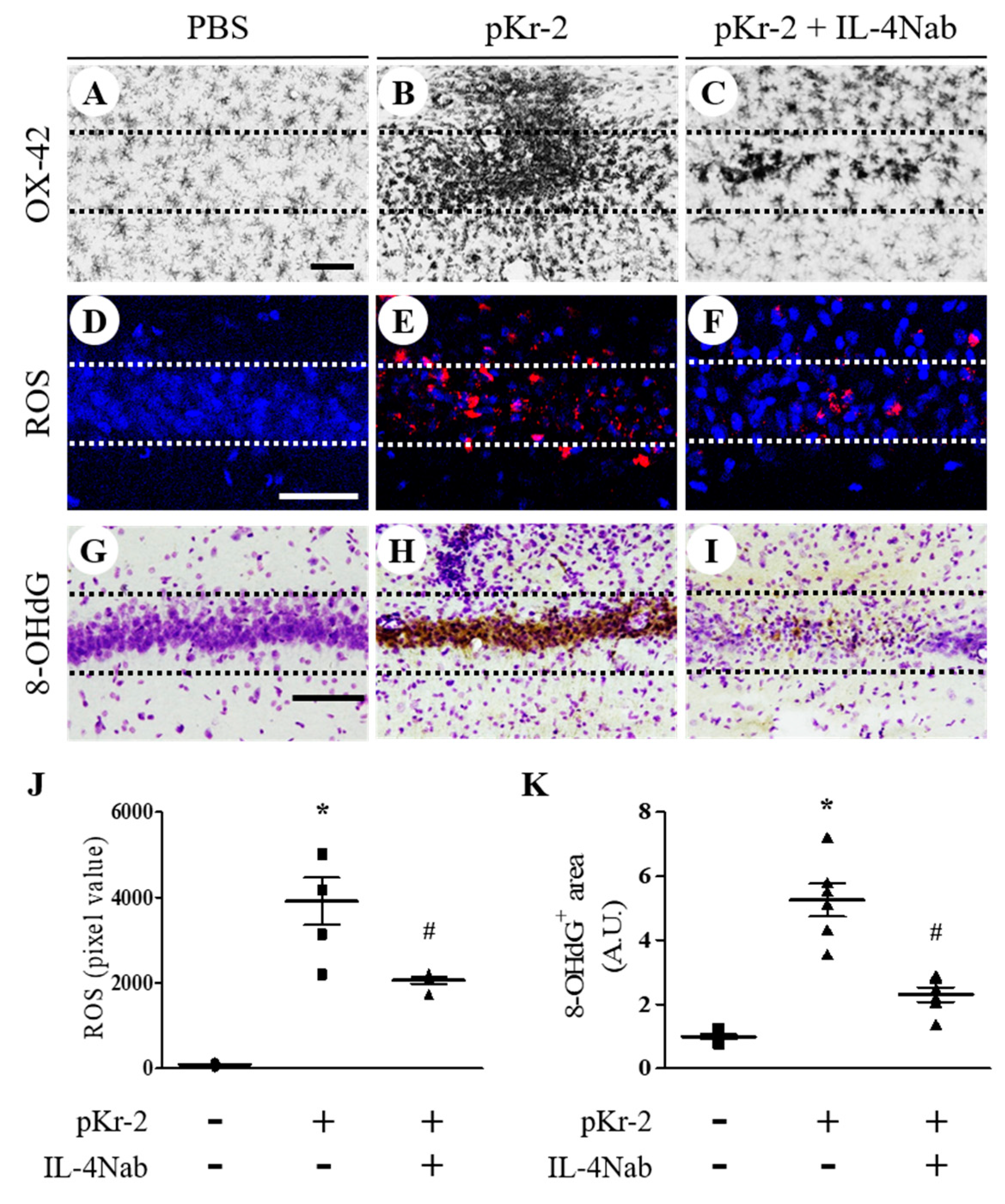 Antioxidants 09 01068 g005