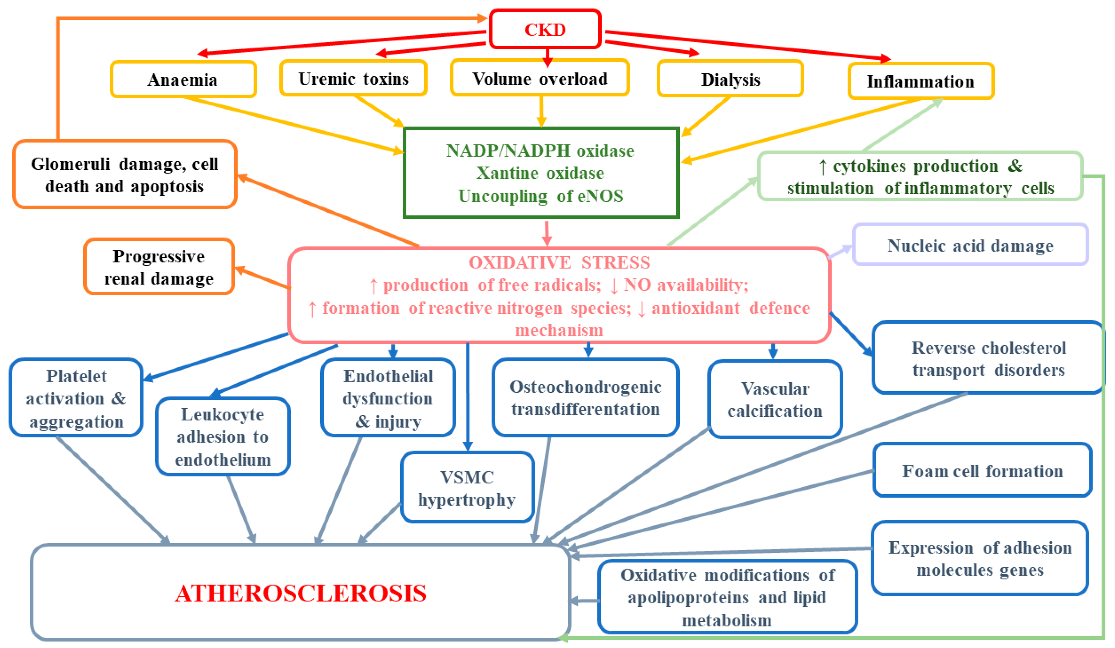 Antioxidants 09 01079 g002