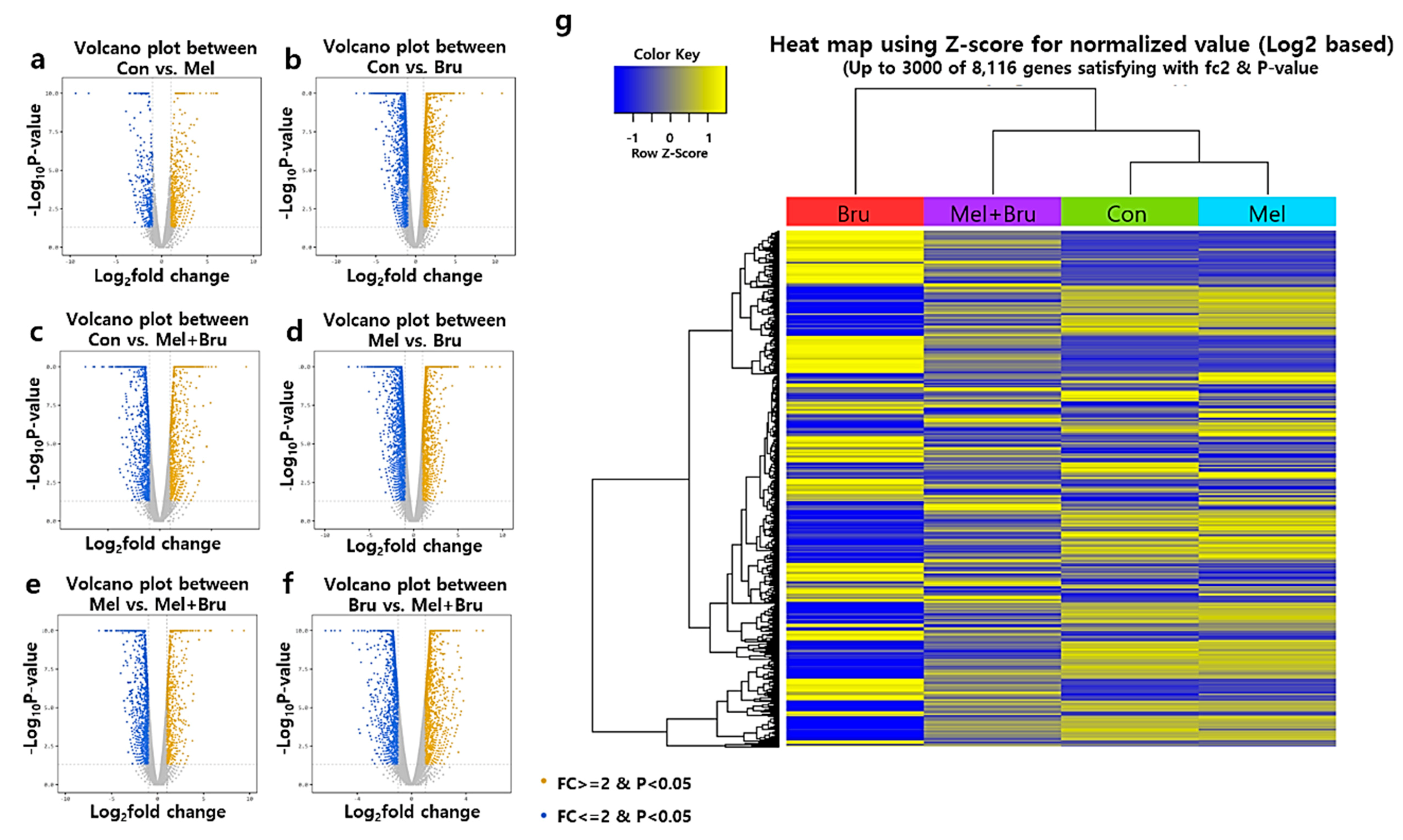 Antioxidants 09 01080 g004