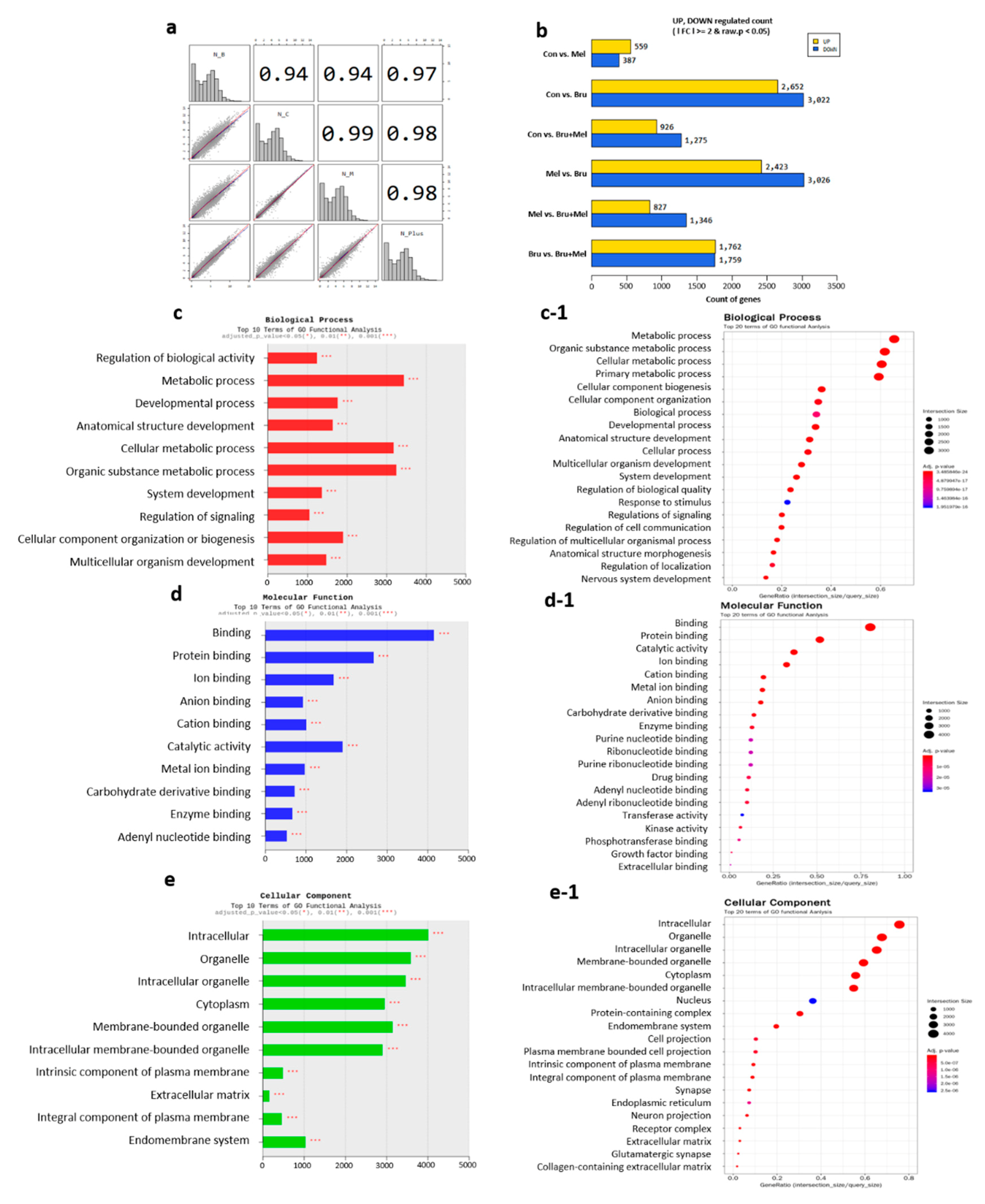 Antioxidants 09 01080 g005