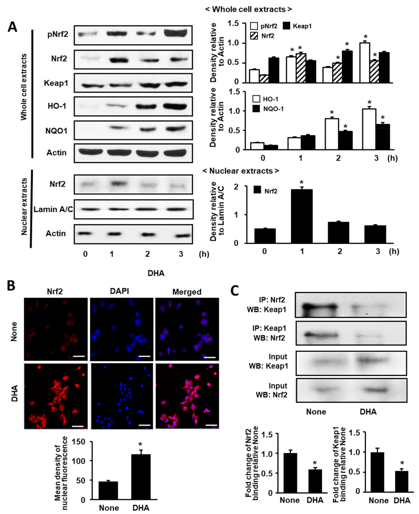 Antioxidants 09 01084 g001 Antioxidants 09 01084 g001