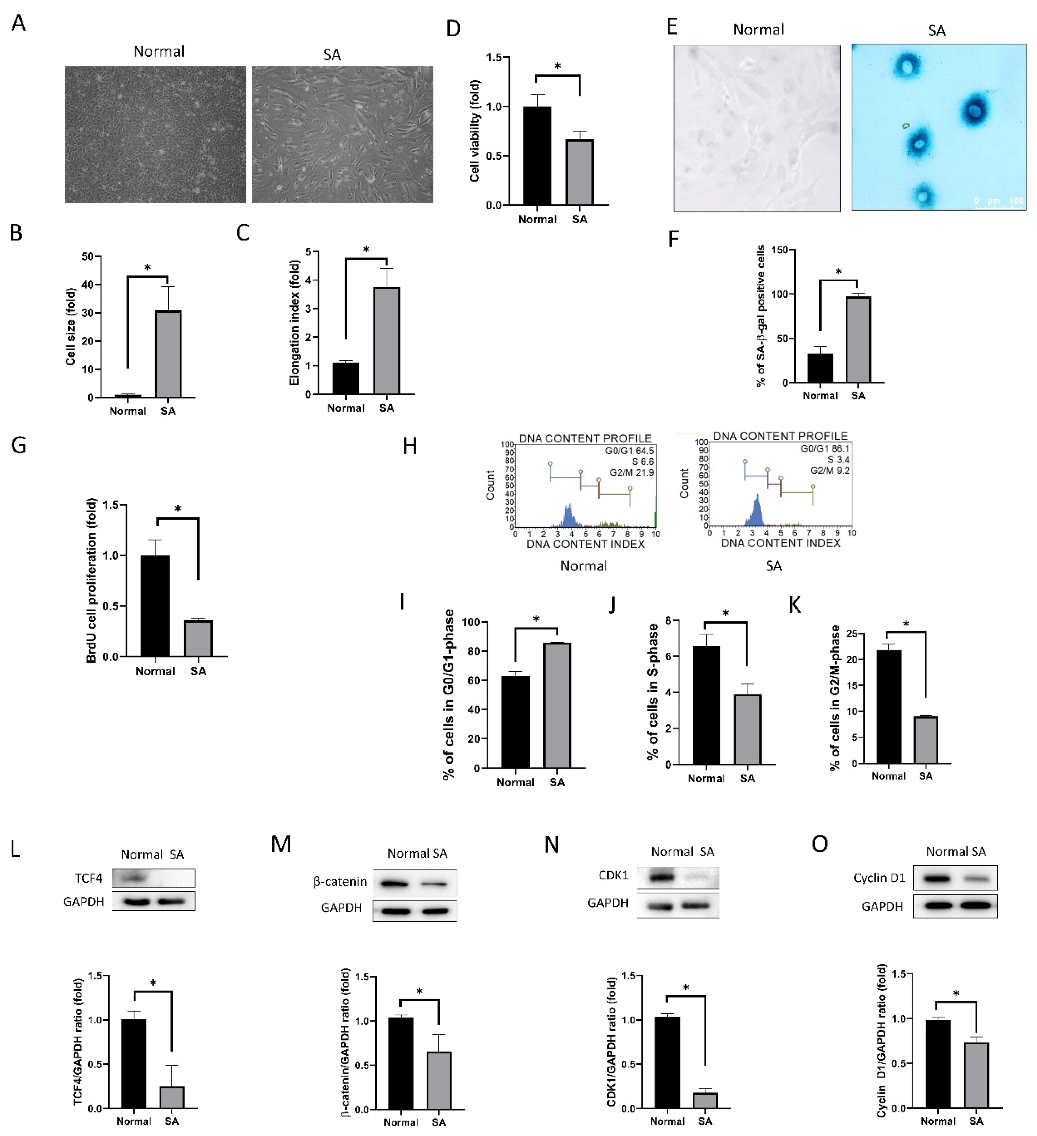 Antioxidants 09 01085 g001 Antioxidants 09 01085 g001