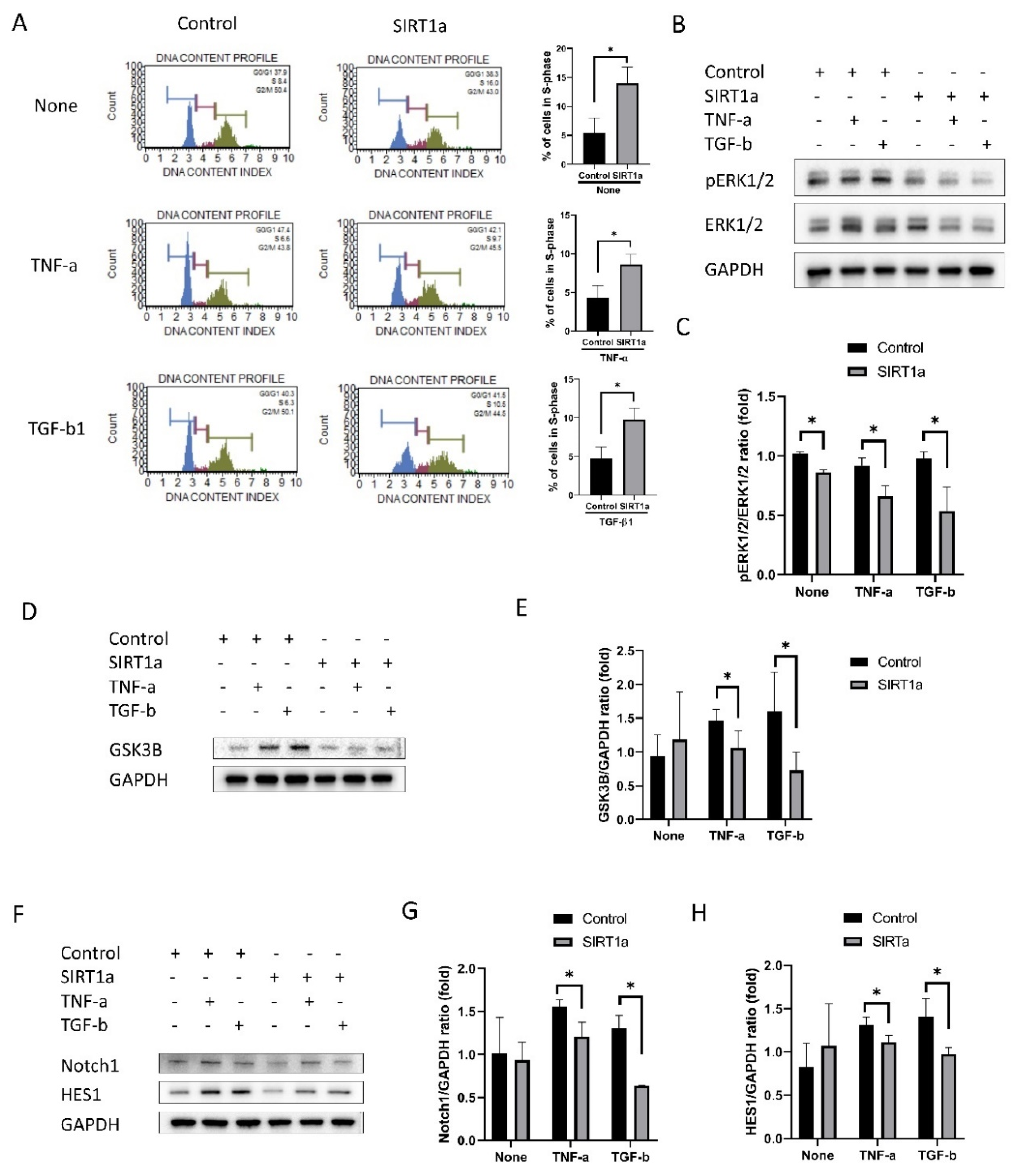 Antioxidants 09 01085 g006 Antioxidants 09 01085 g006
