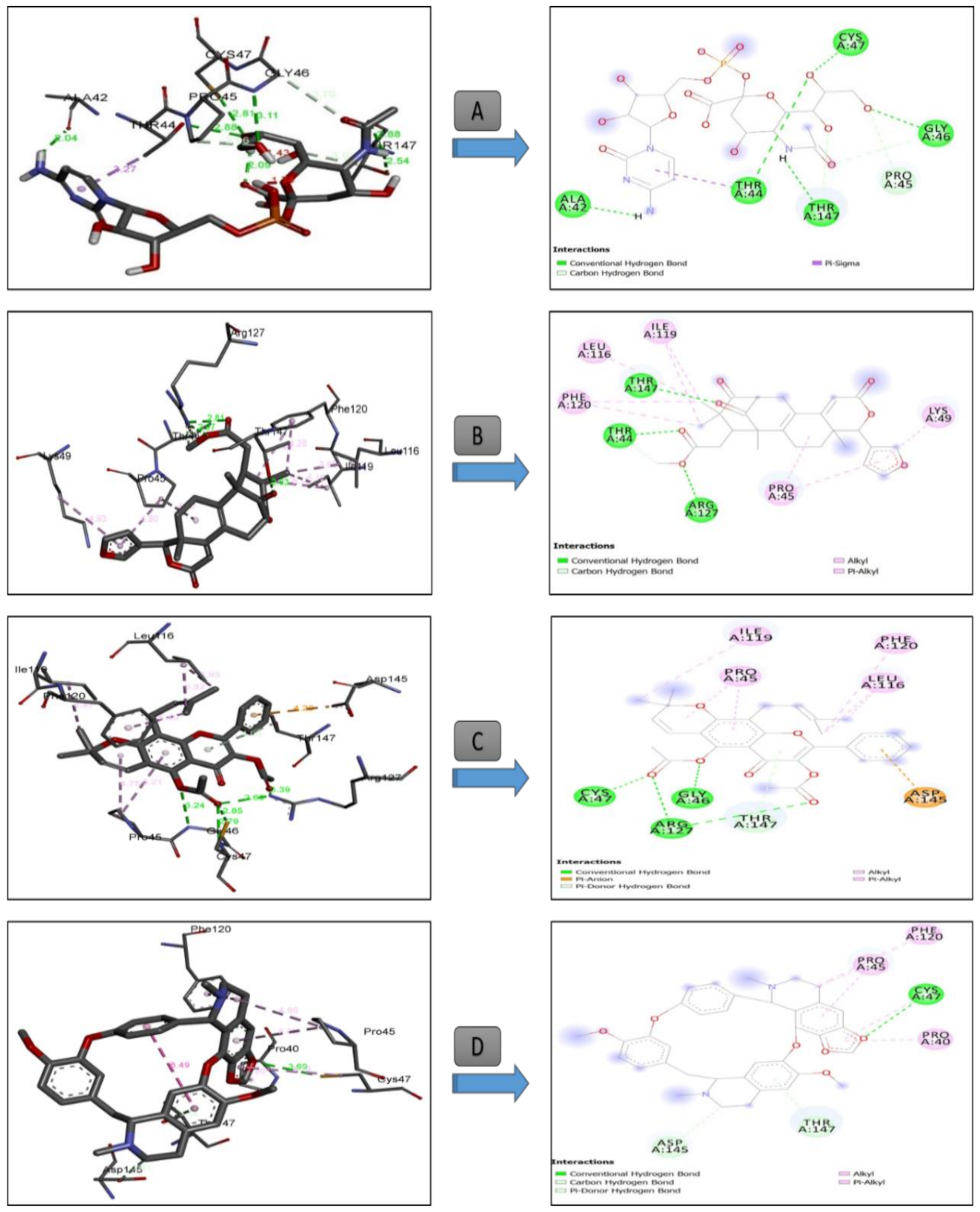 Antioxidants 09 01089 g004