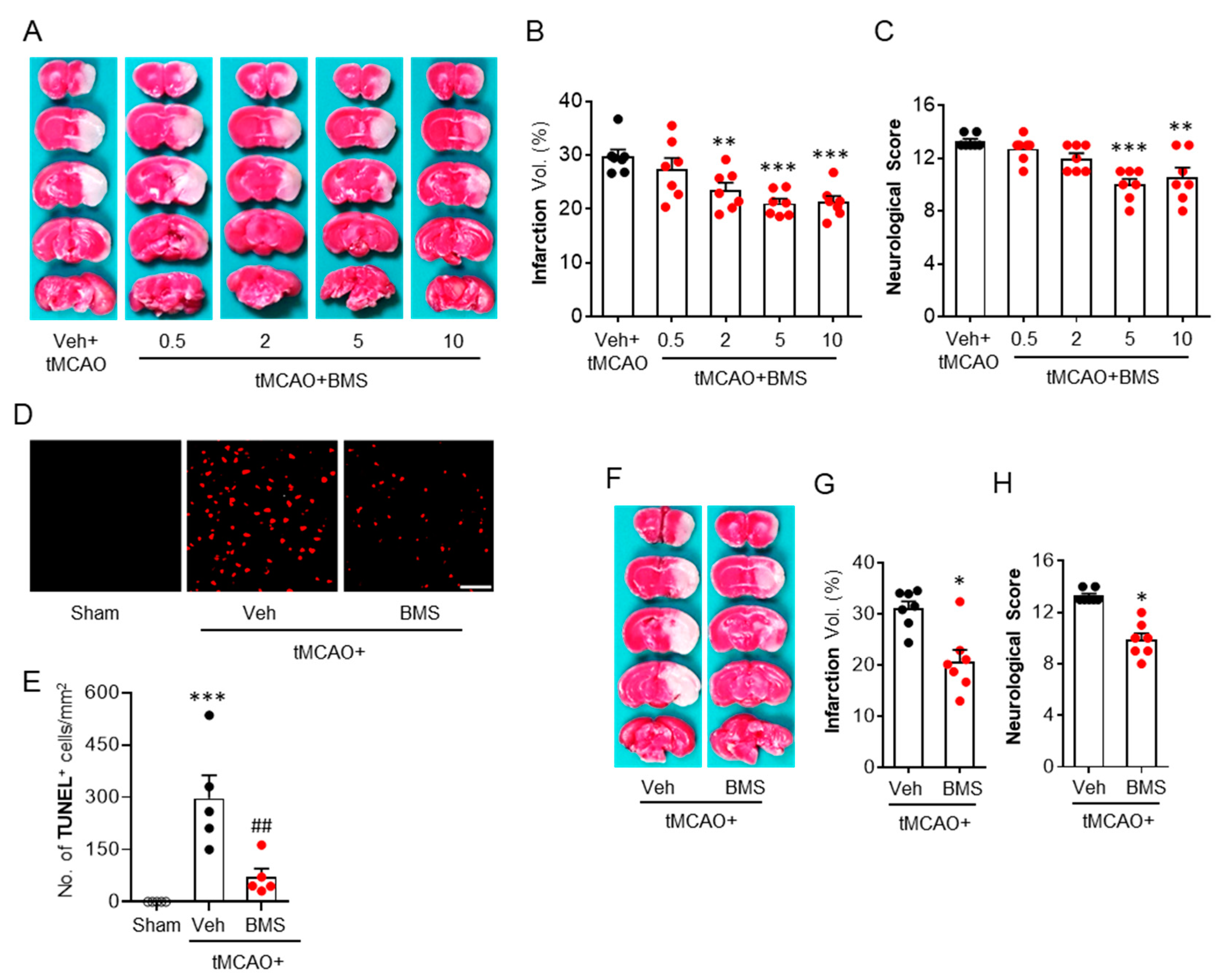Antioxidants 09 01097 g001