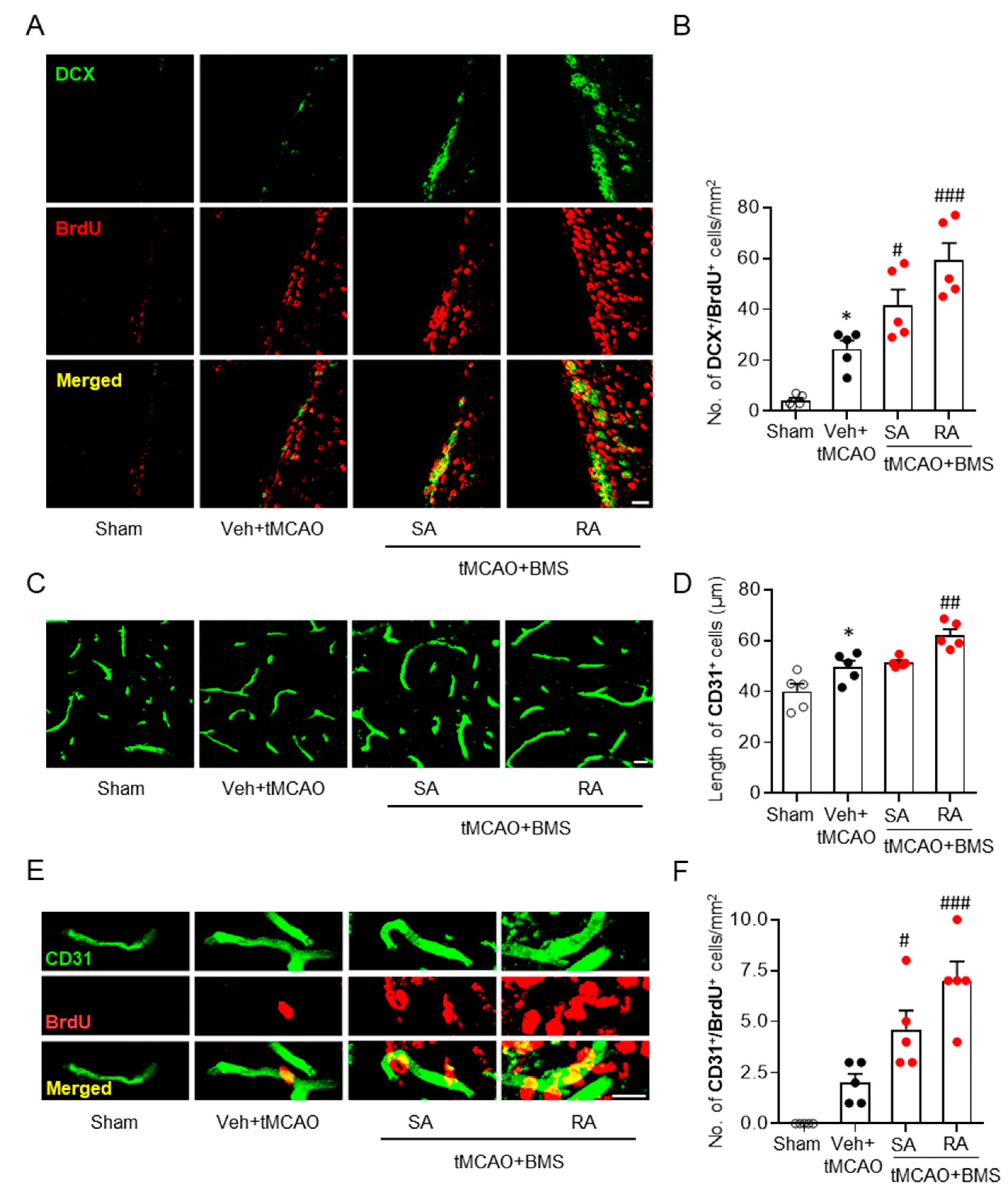 Antioxidants 09 01097 g005
