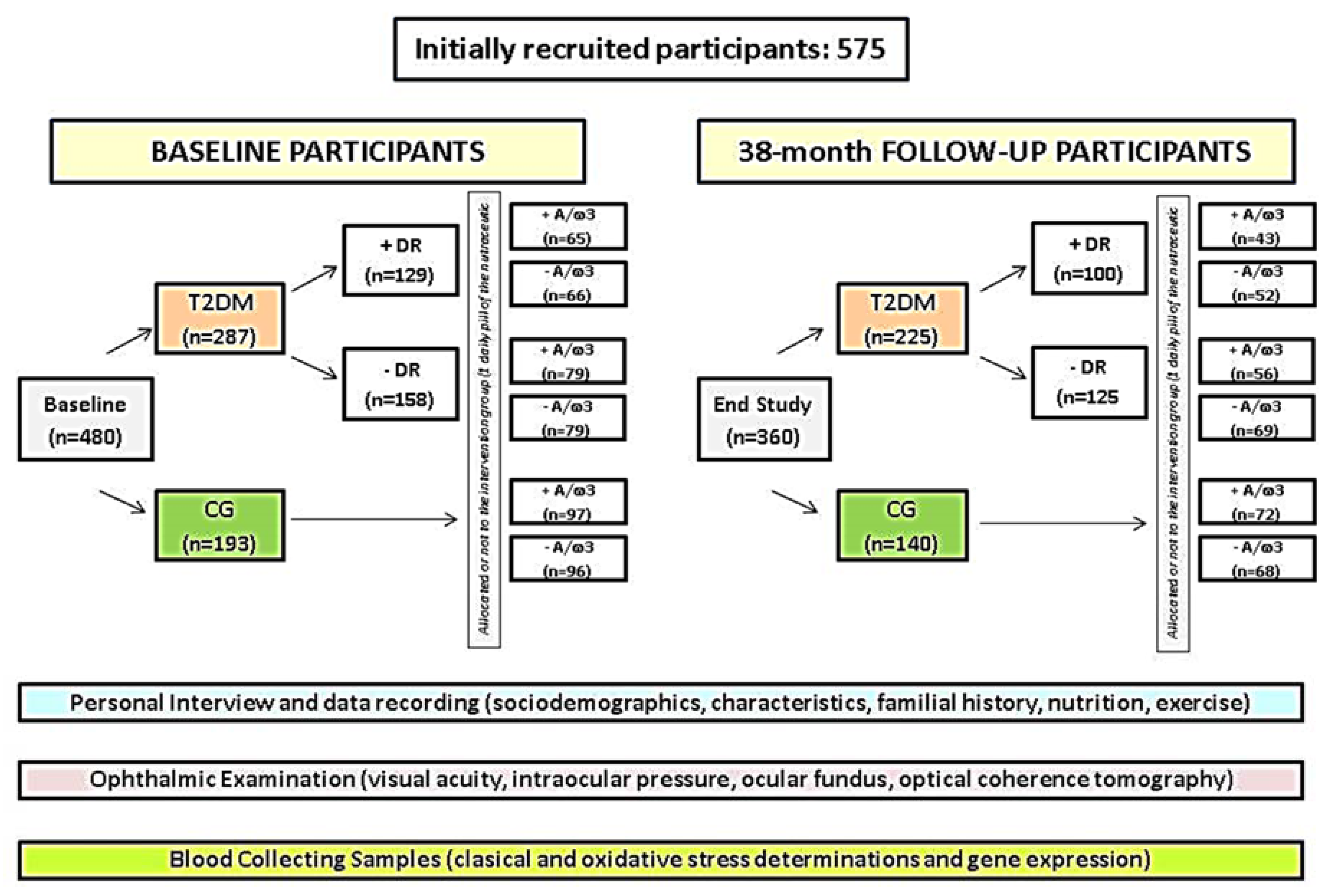 Antioxidants 09 01101 g001 Antioxidants 09 01101 g001
