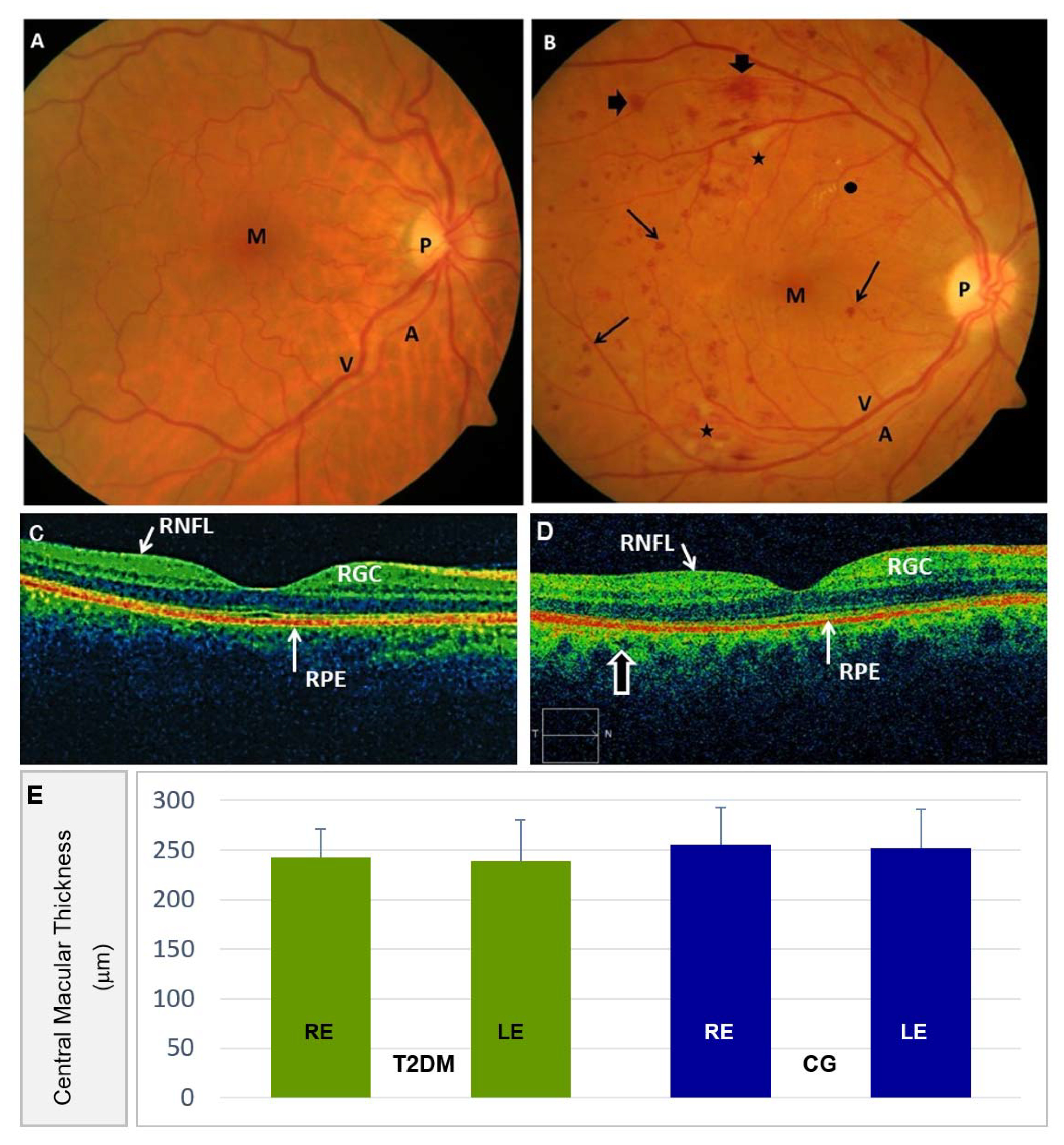 Antioxidants 09 01101 g003 Antioxidants 09 01101 g003