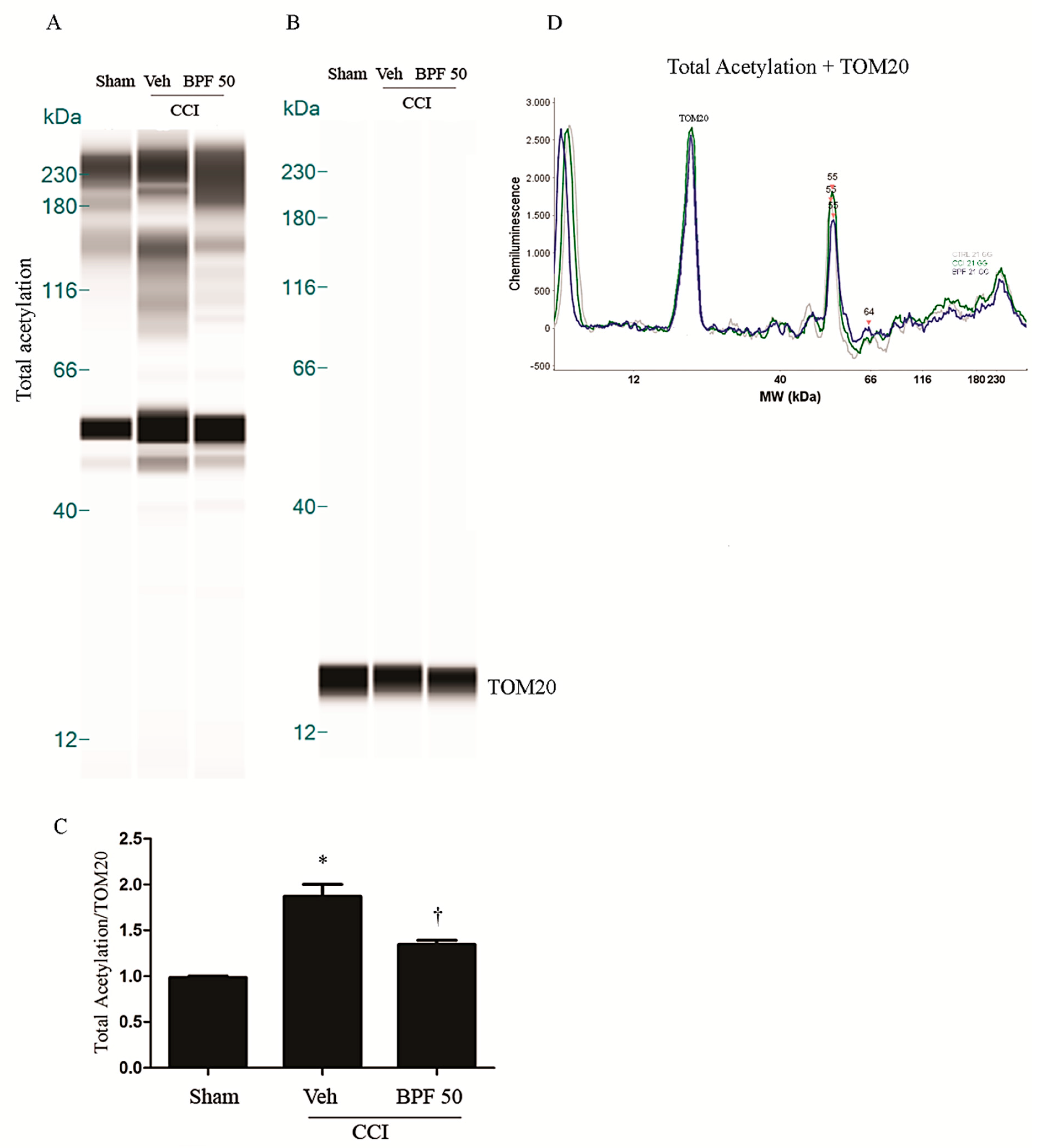 Antioxidants 09 01103 g009