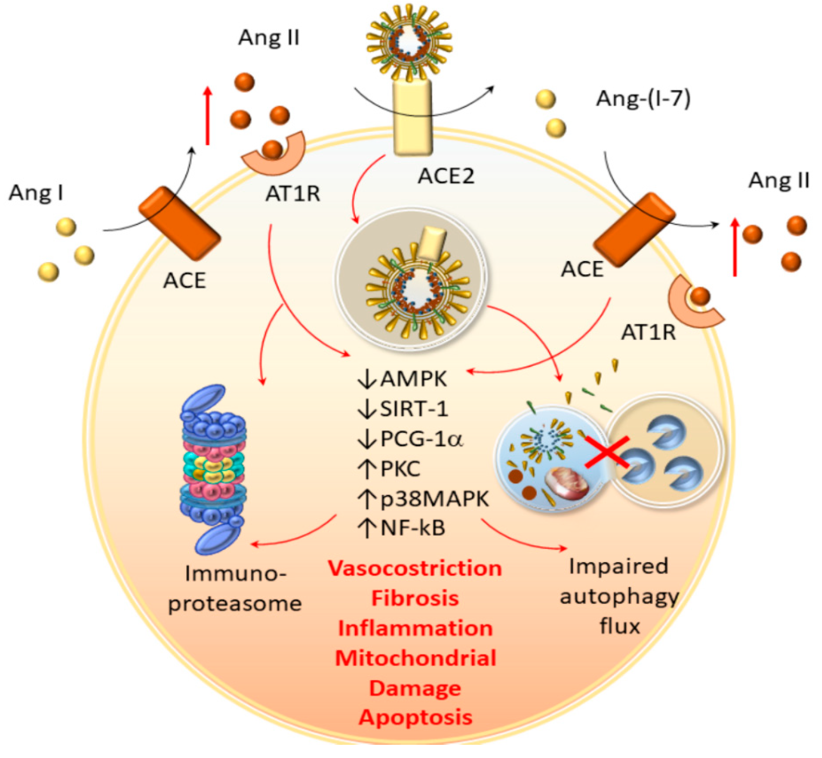 Antioxidants 09 01105 g004
