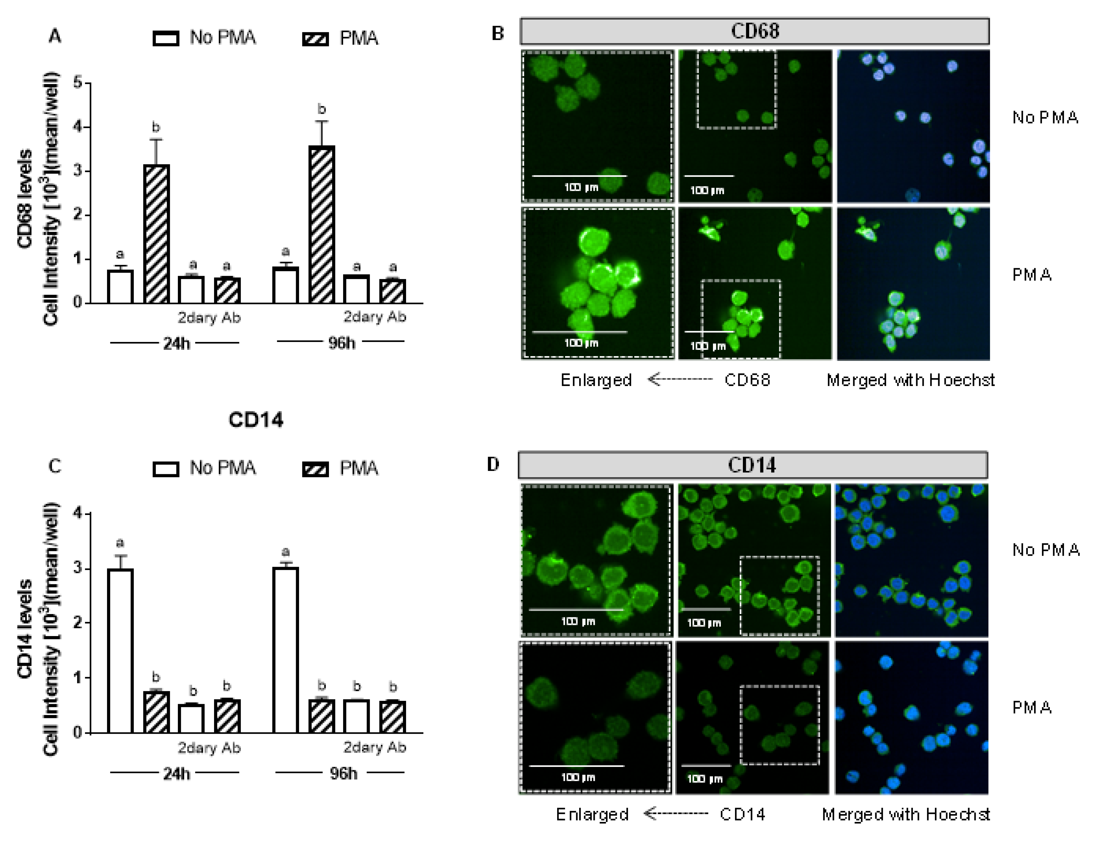 Antioxidants 09 01109 g001