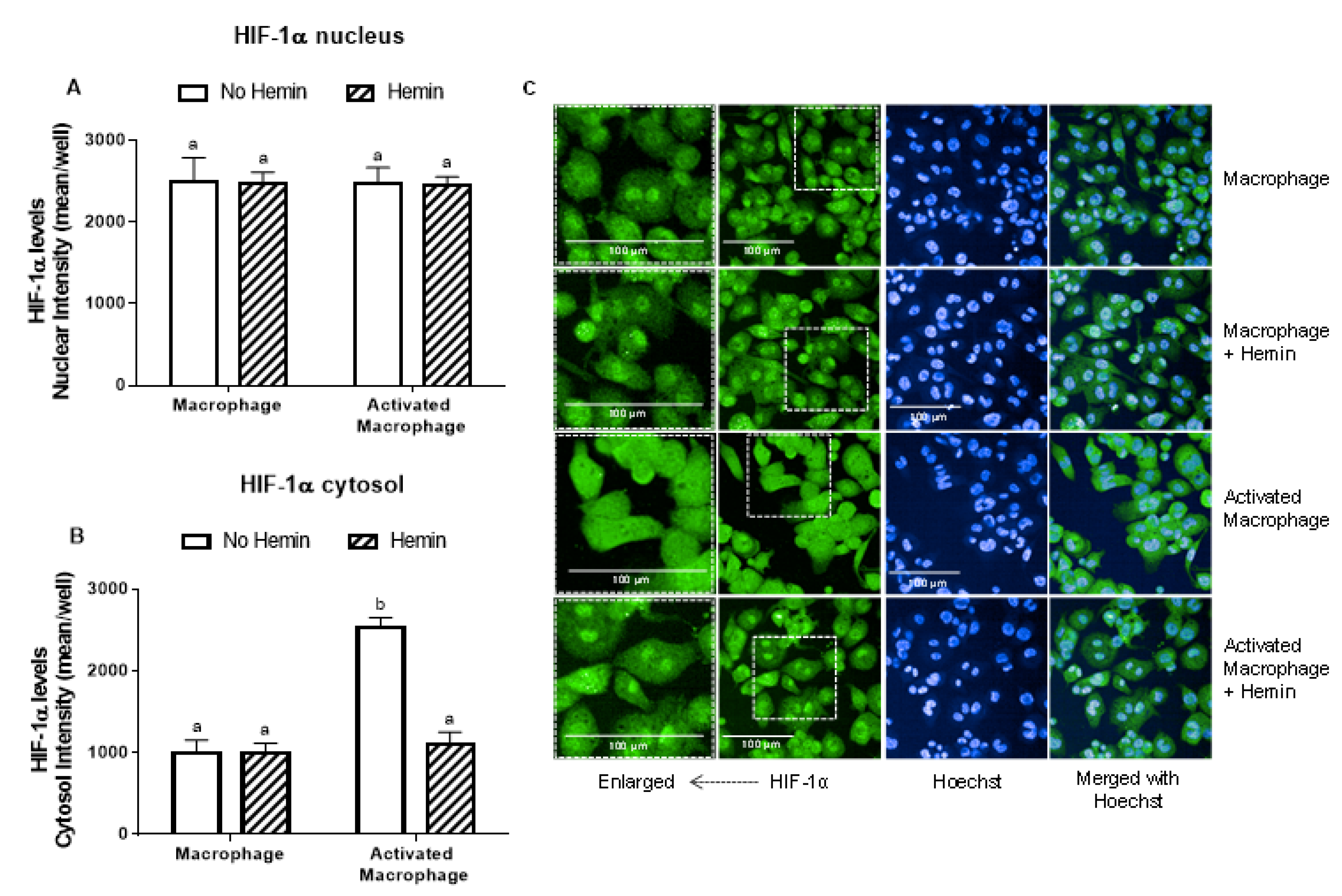 Antioxidants 09 01109 g004