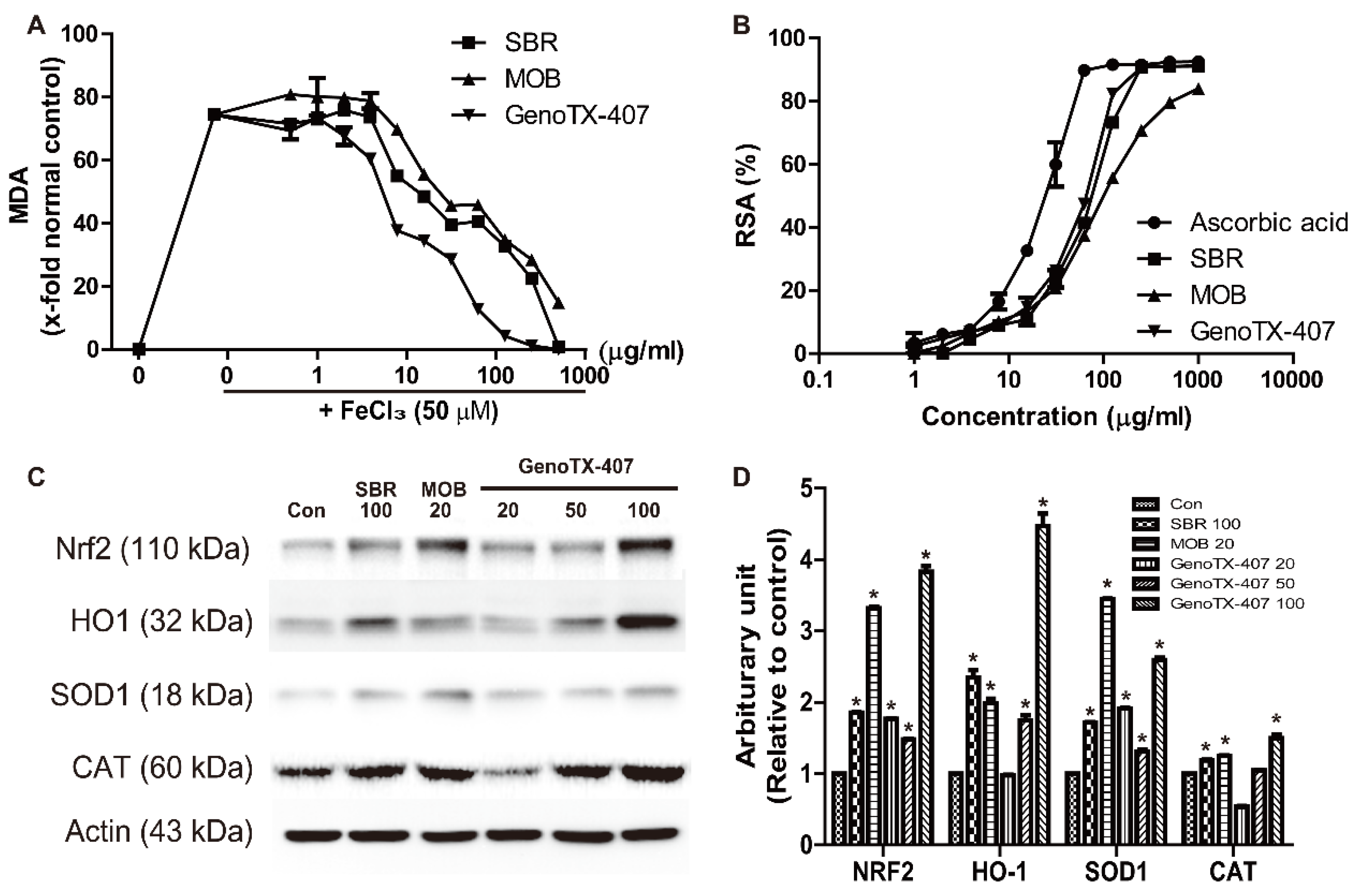 Antioxidants 09 01111 g003