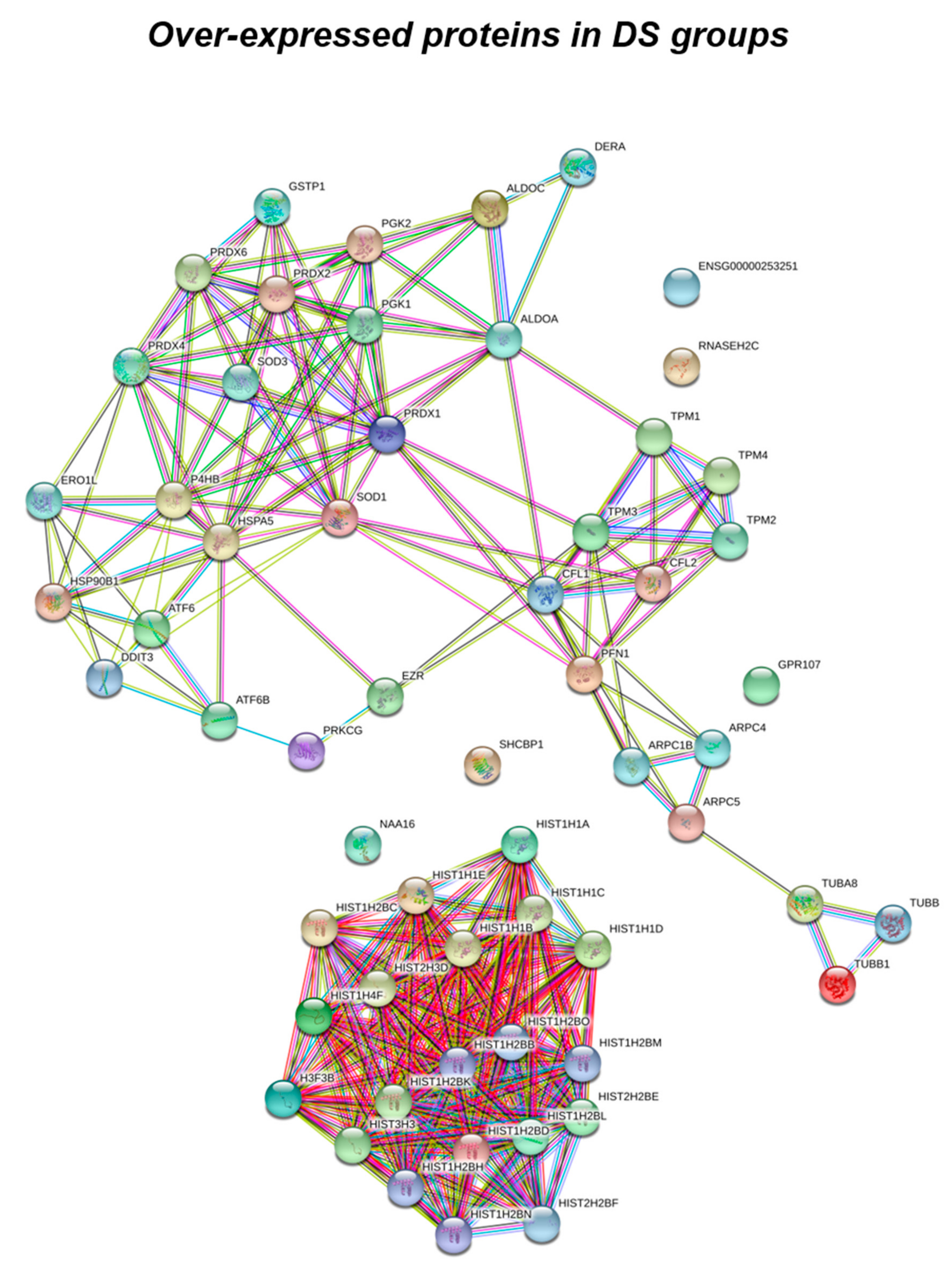Antioxidants 09 01112 g002