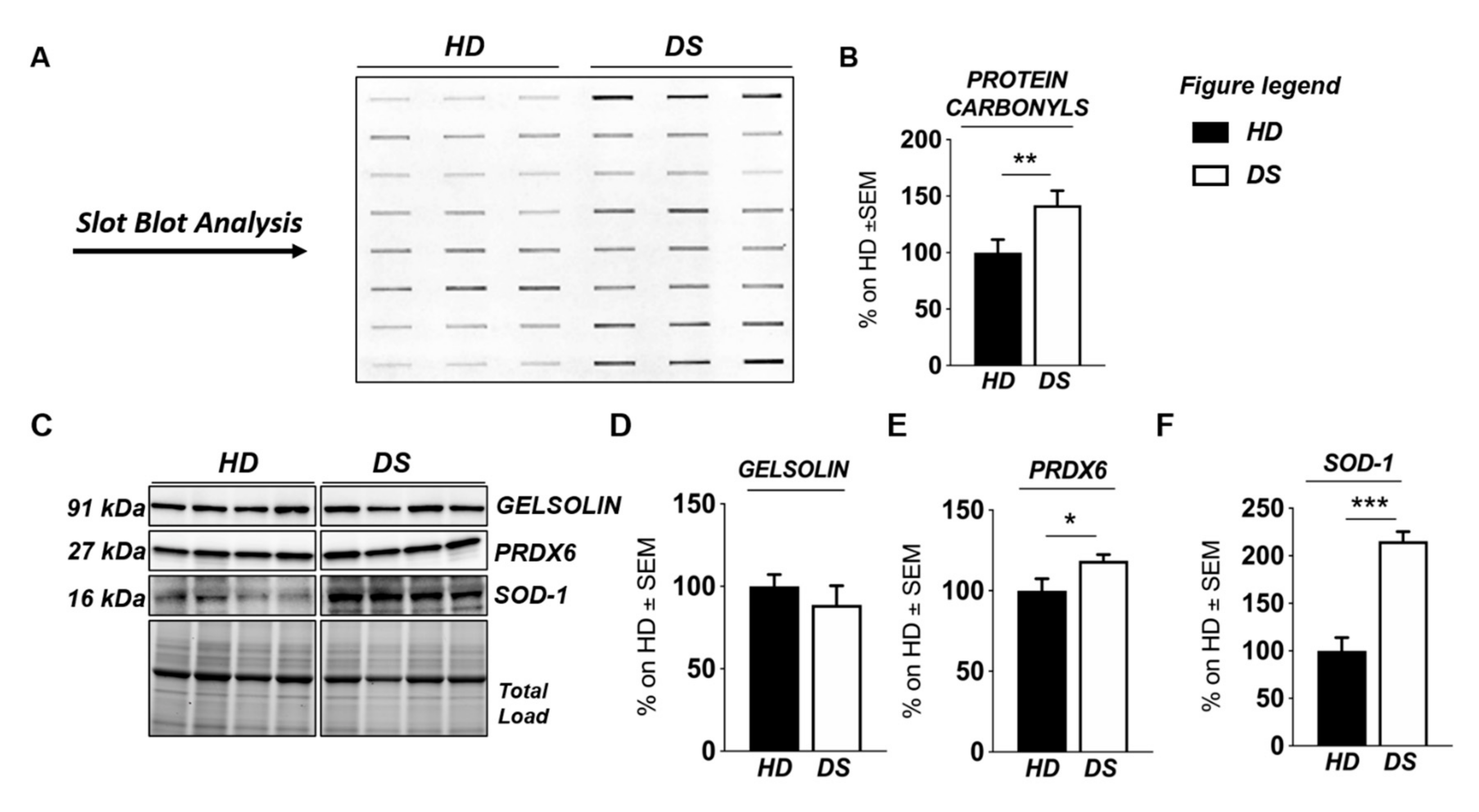 Antioxidants 09 01112 g004