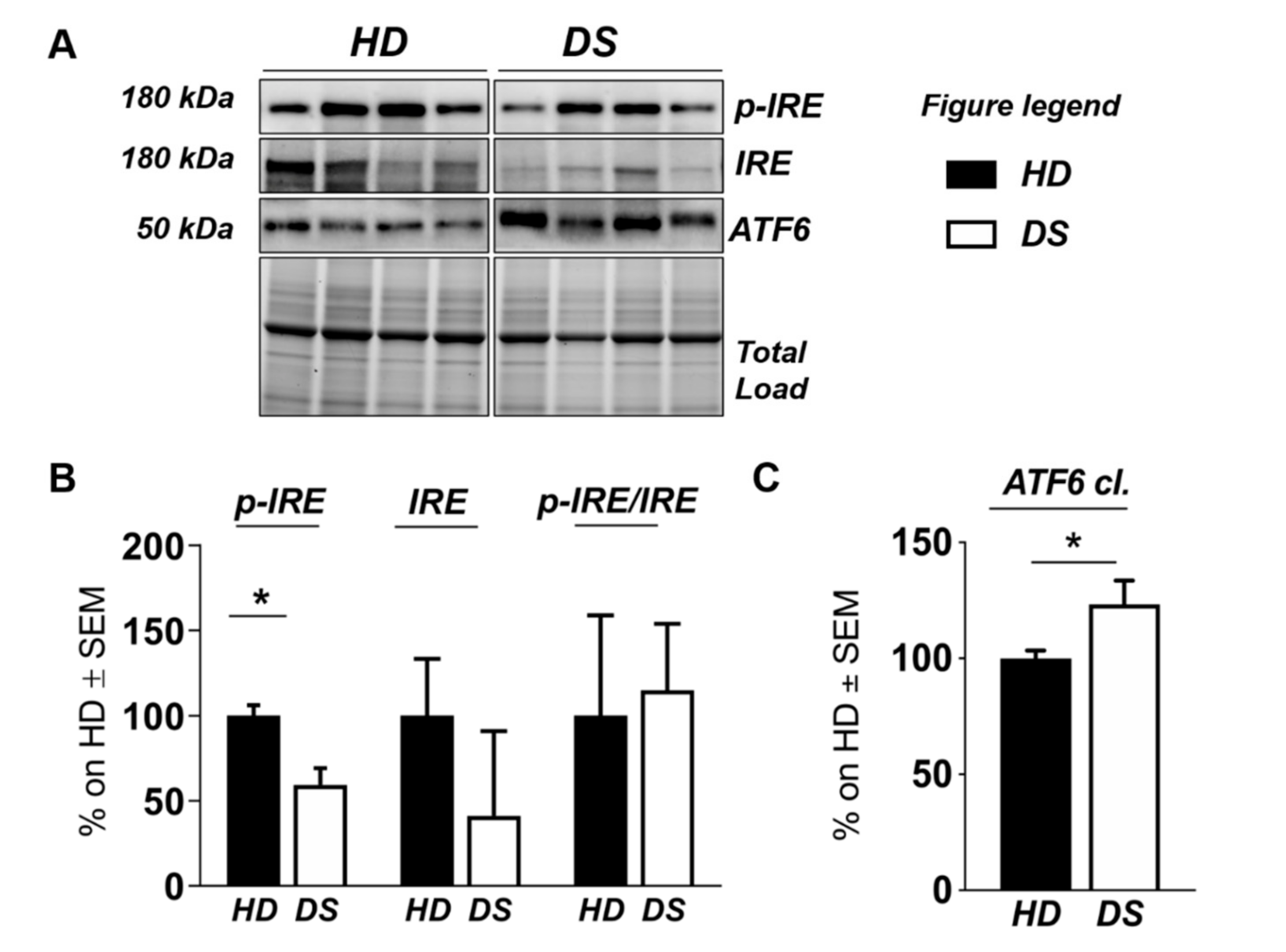 Antioxidants 09 01112 g005