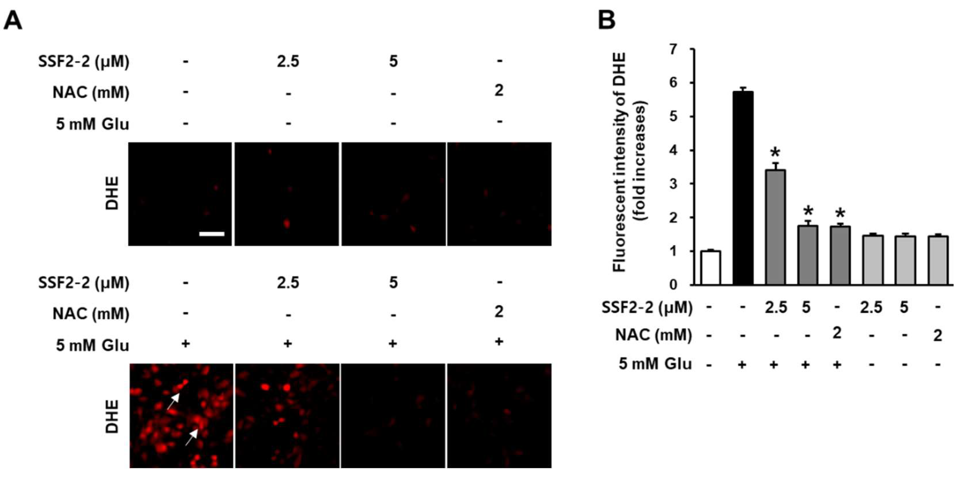 Antioxidants 09 01115 g004 Antioxidants 09 01115 g004