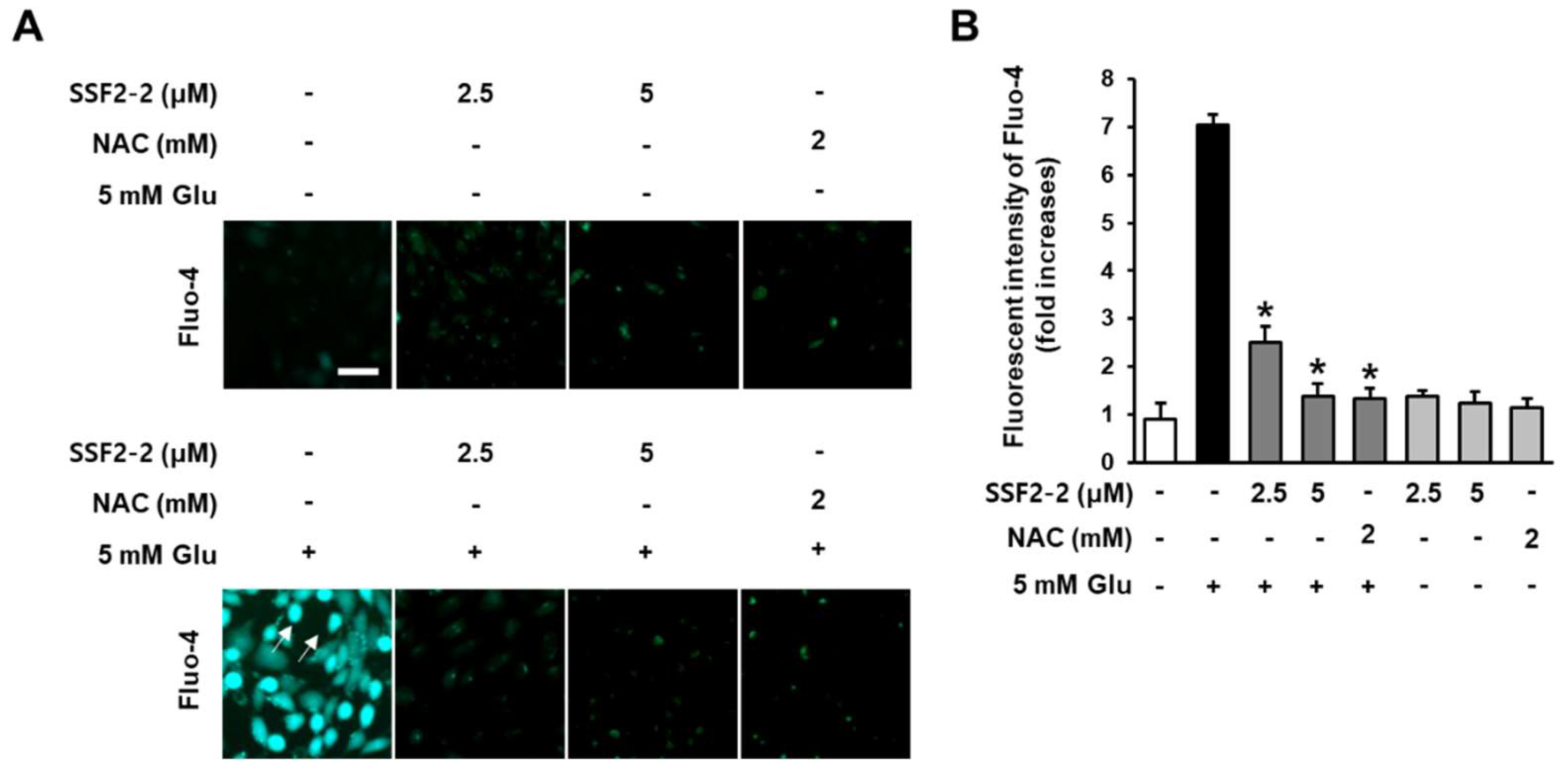 Antioxidants 09 01115 g005 Antioxidants 09 01115 g005