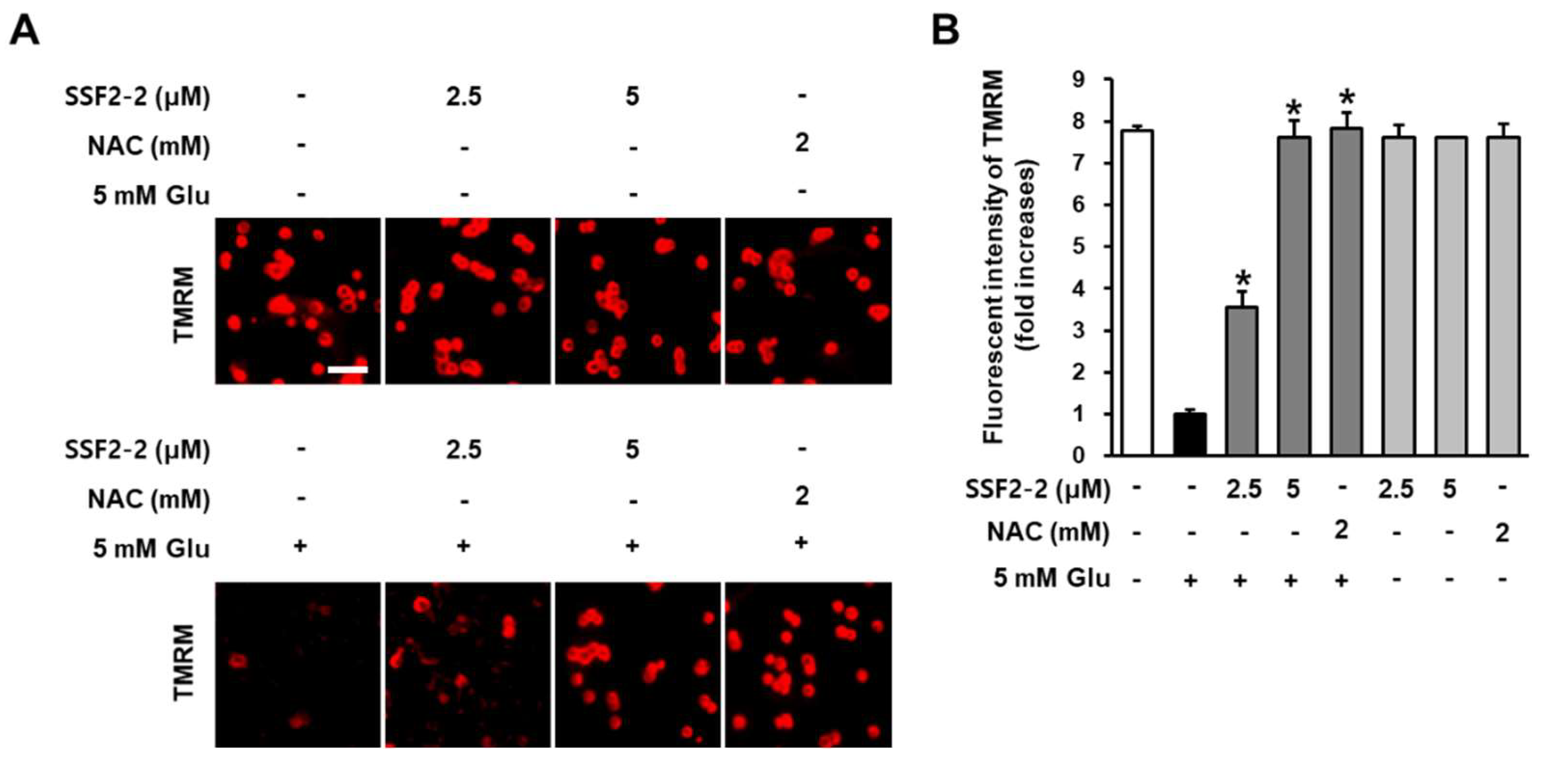 Antioxidants 09 01115 g006 Antioxidants 09 01115 g006