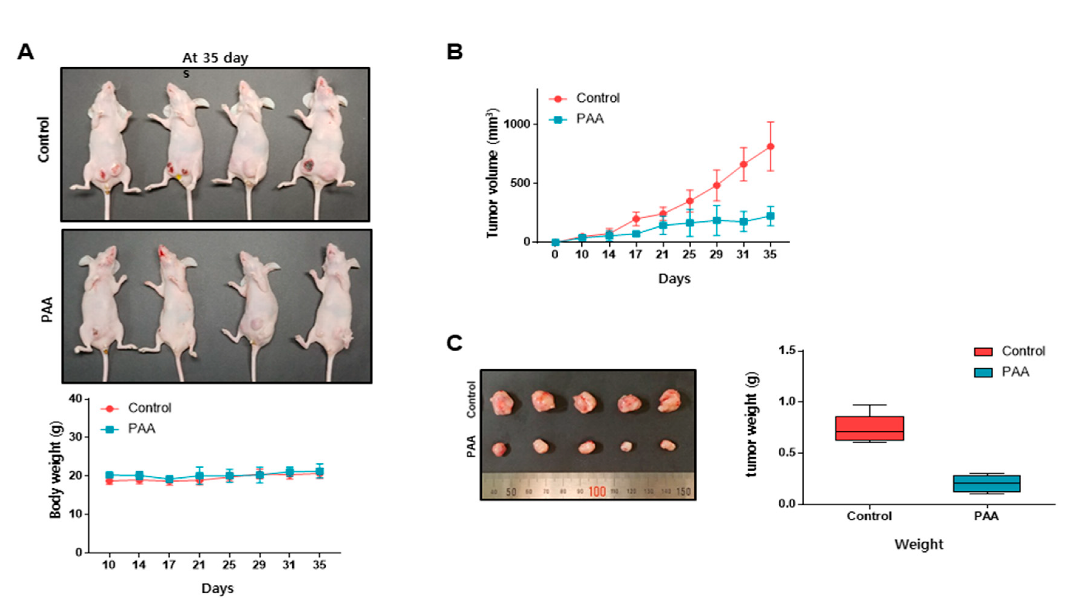 Antioxidants 09 01119 g002