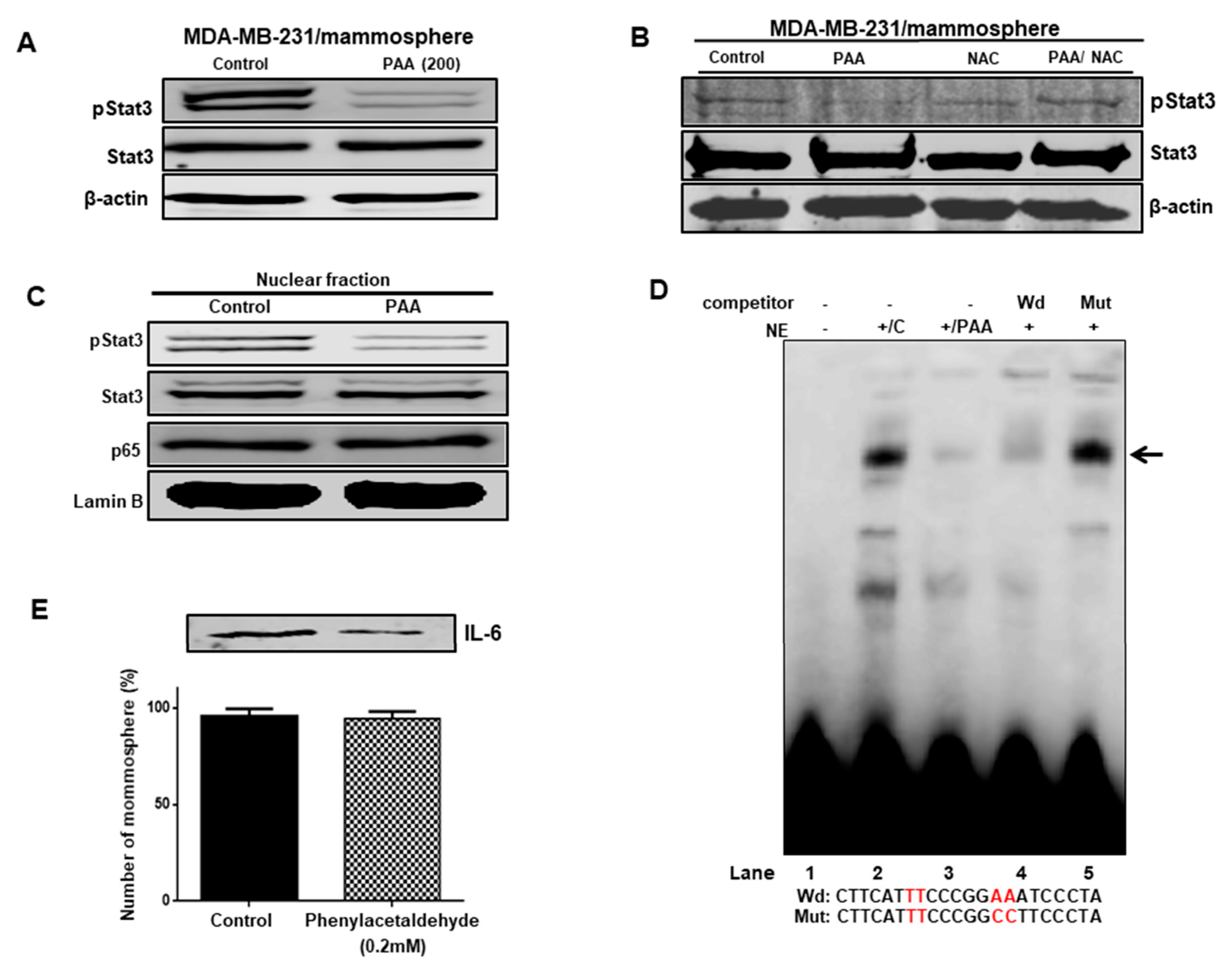 Antioxidants 09 01119 g007