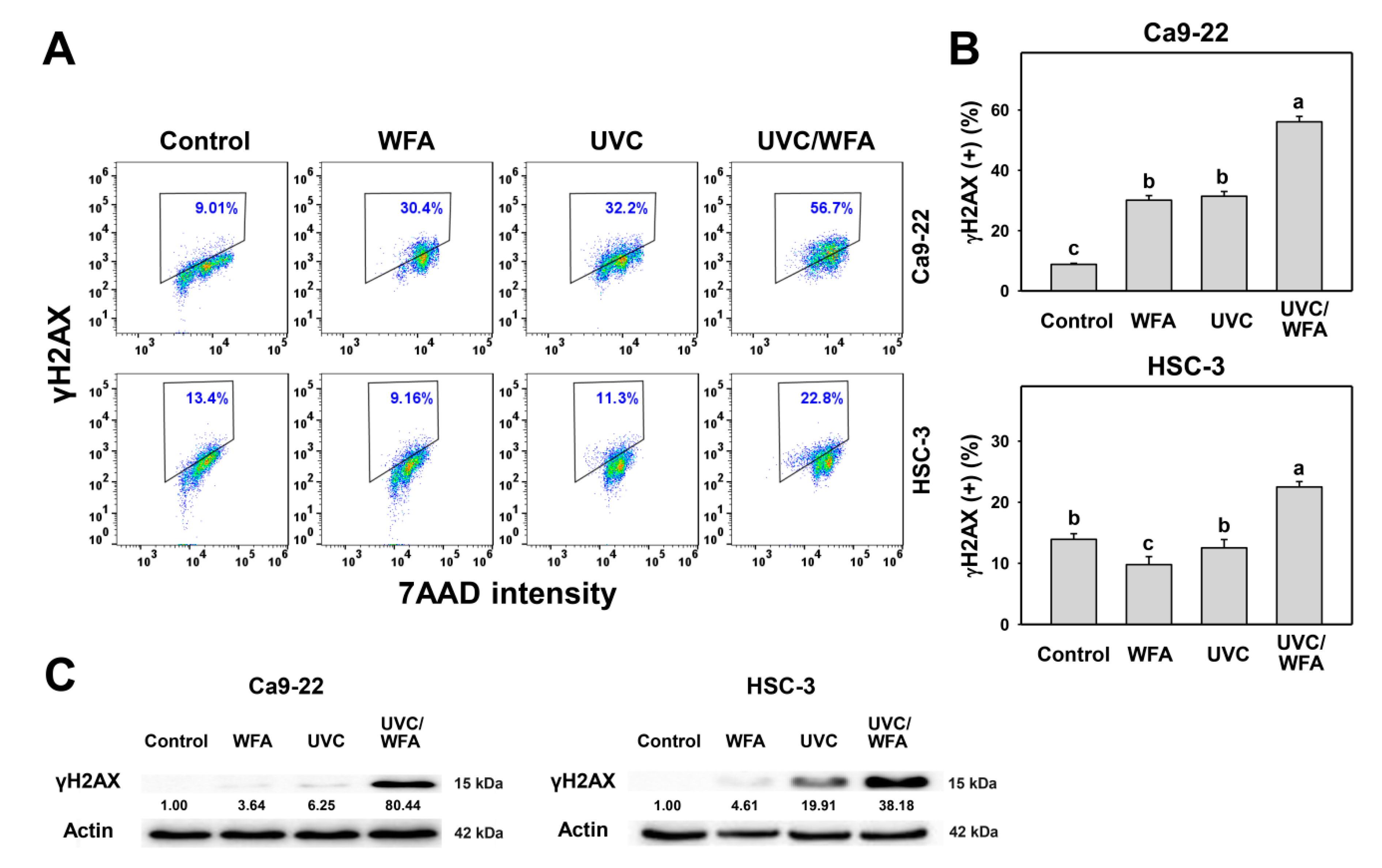 Antioxidants 09 01120 g008