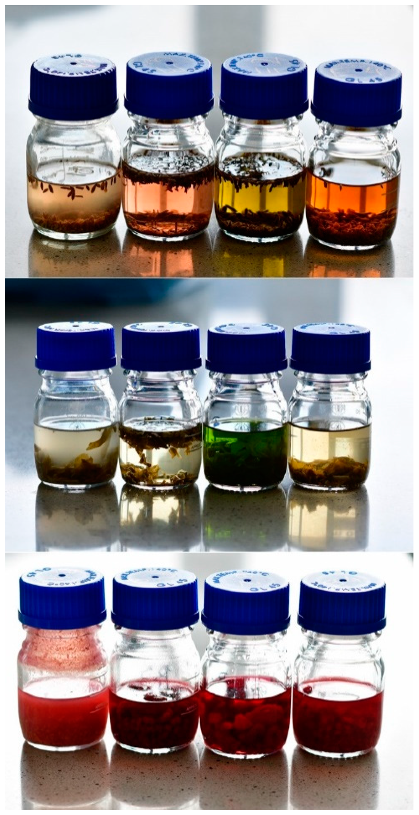 Antioxidants 09 01121 g001