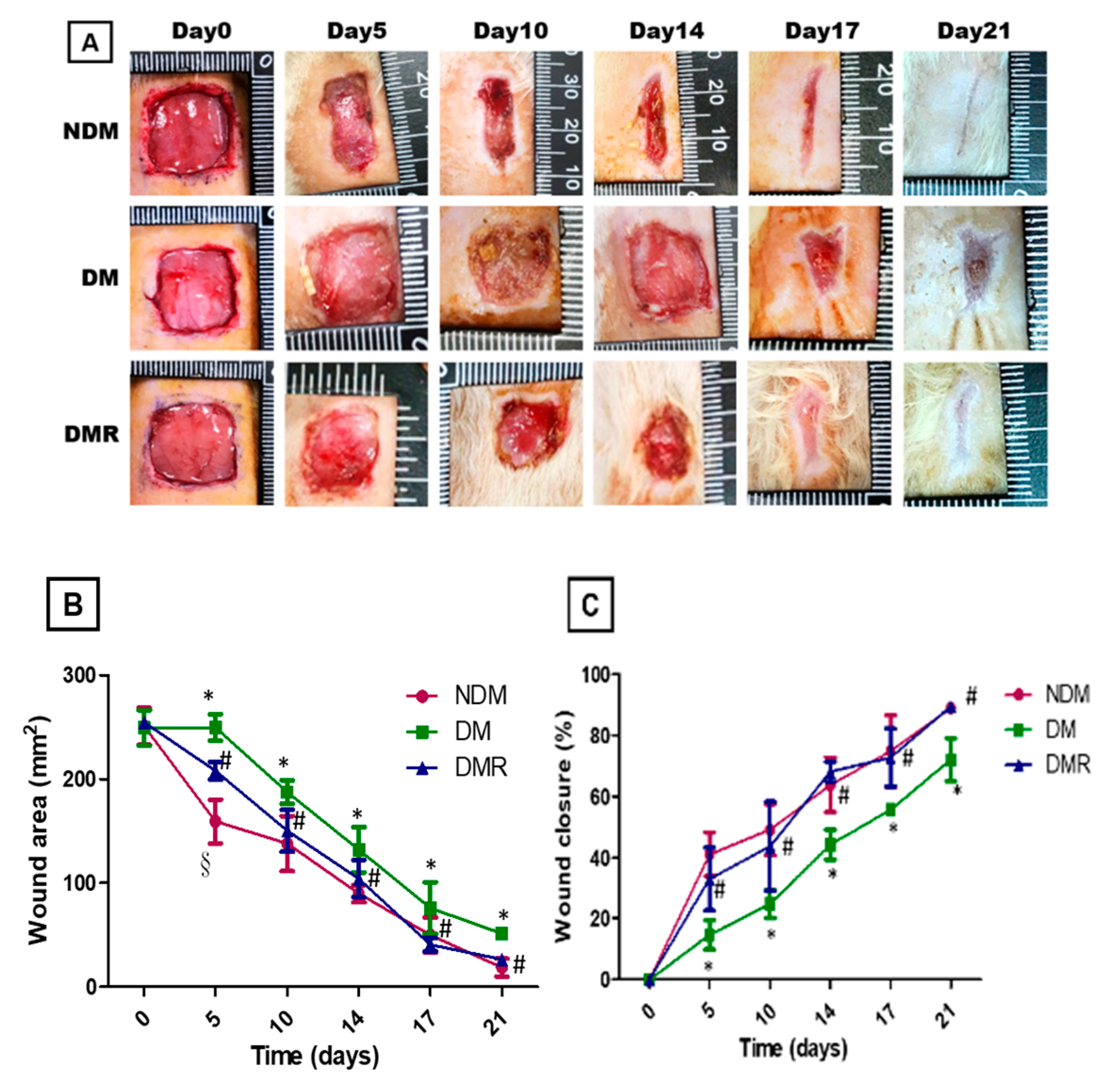 Antioxidants 09 01122 g003