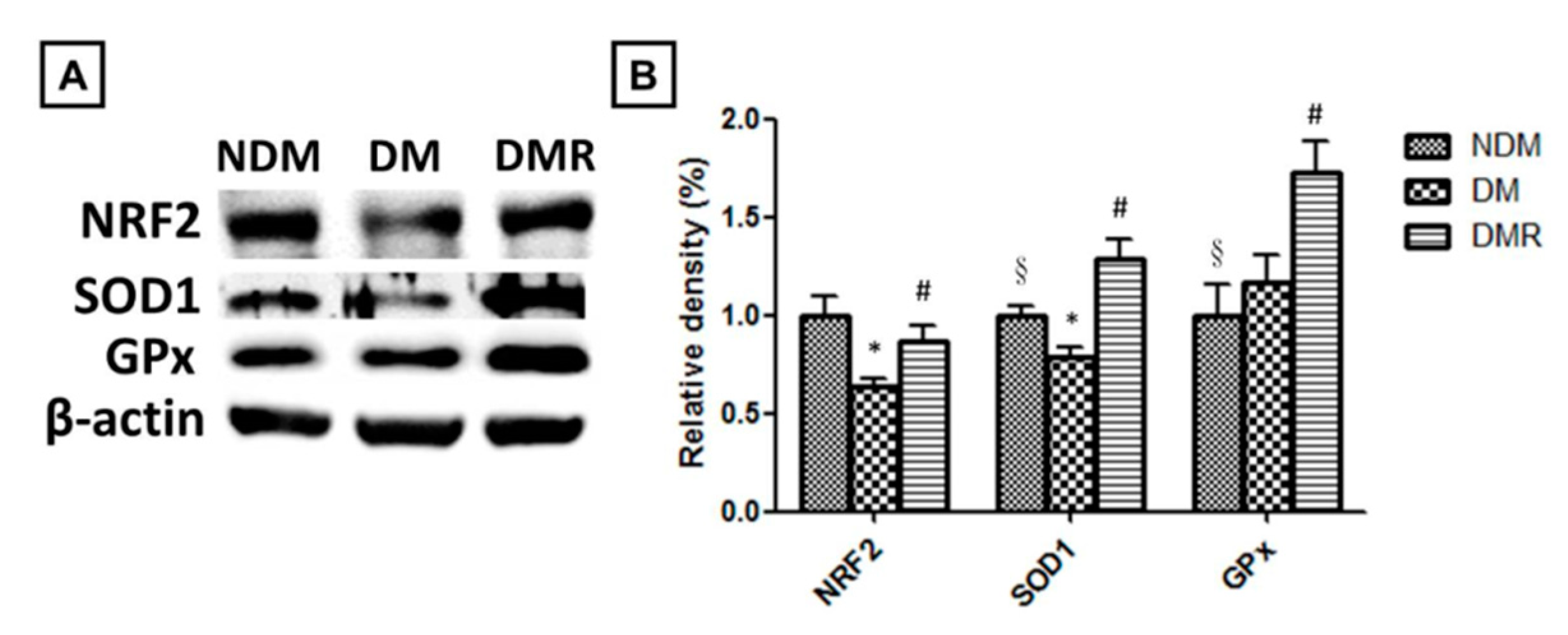 Antioxidants 09 01122 g006