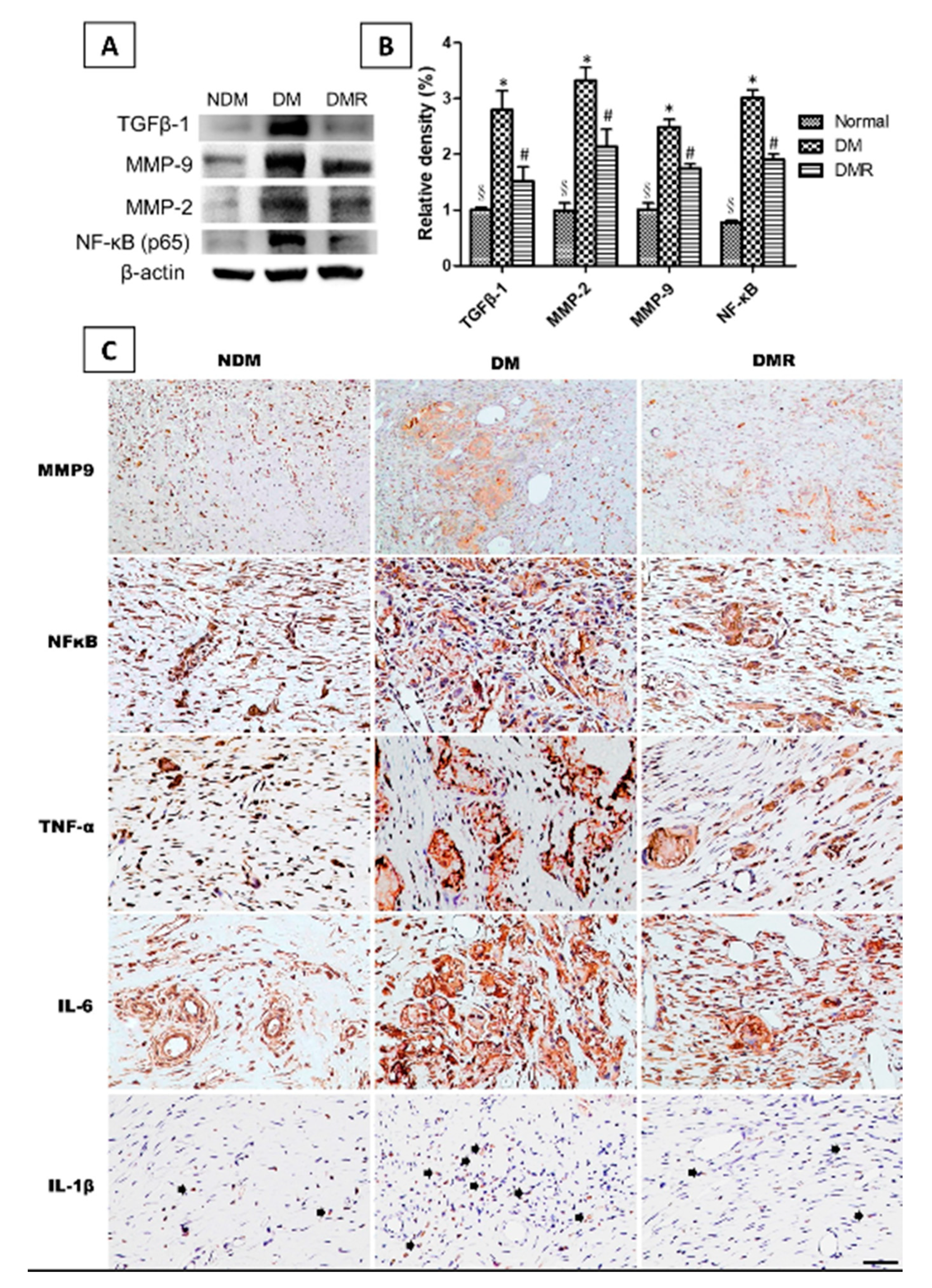 Antioxidants 09 01122 g007